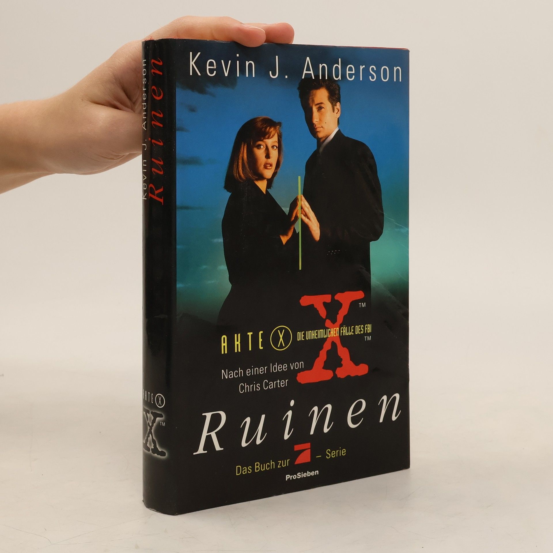 Kevin J. Anderson Ruinen