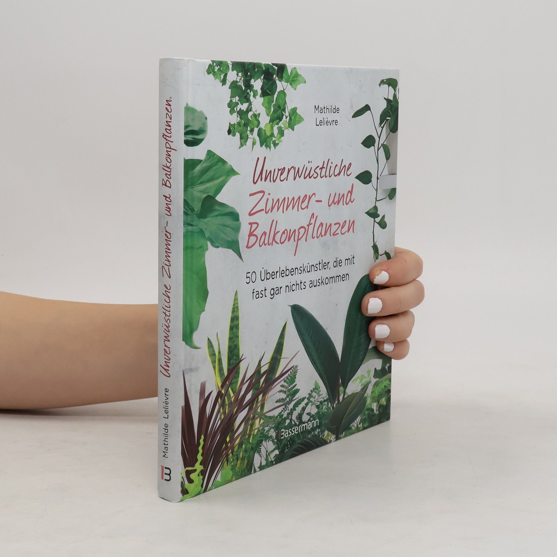 Mathilde Lelièvre Unverwüstliche Zimmer- und Balkonpflanzen