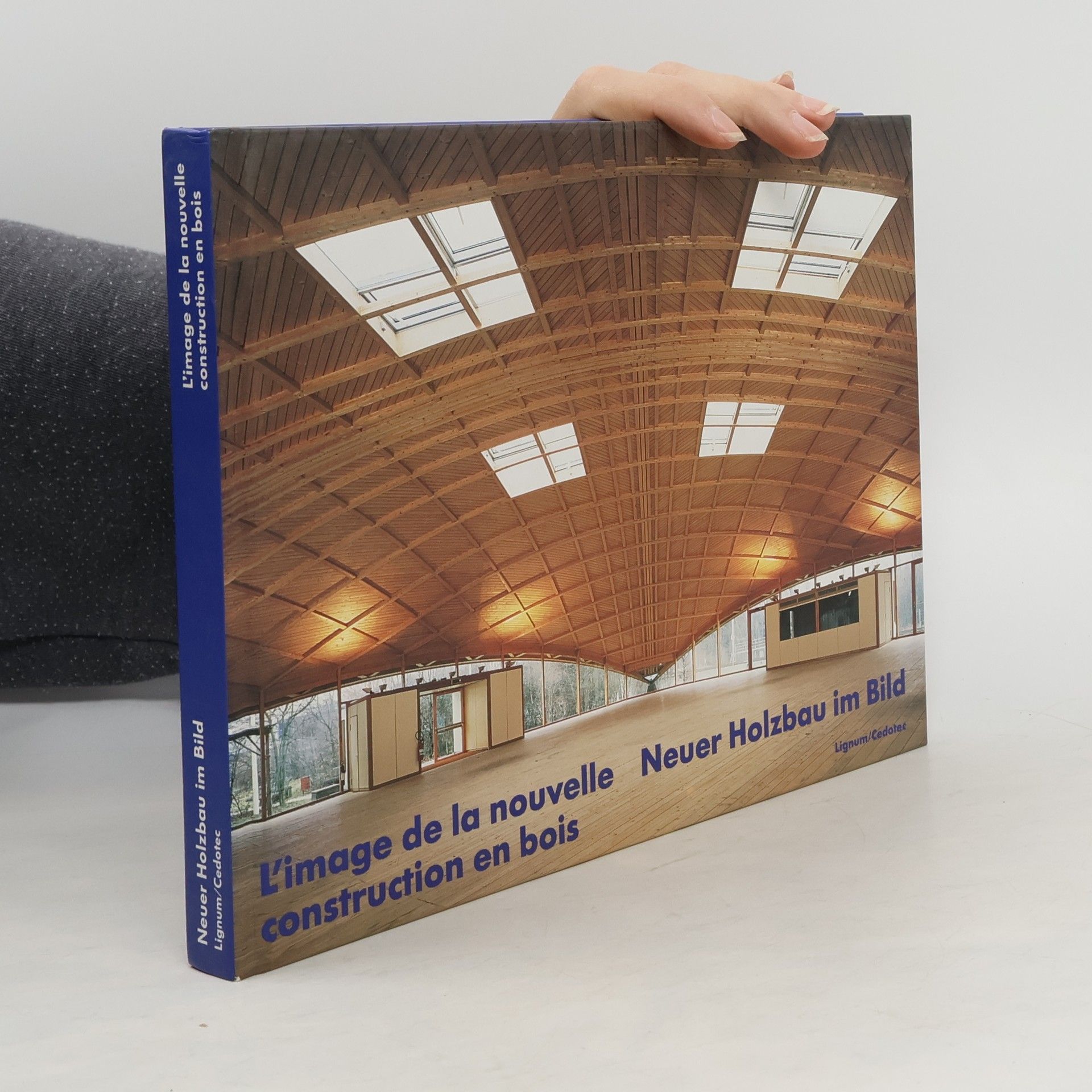 Charles von Büren L'ímage de la nouvelle construction en bois Illustration d'ouvrages récents