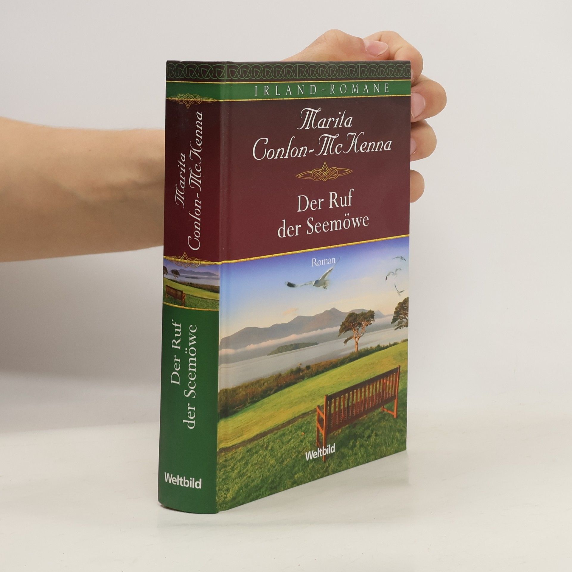 Der Ruf der Seemöwe