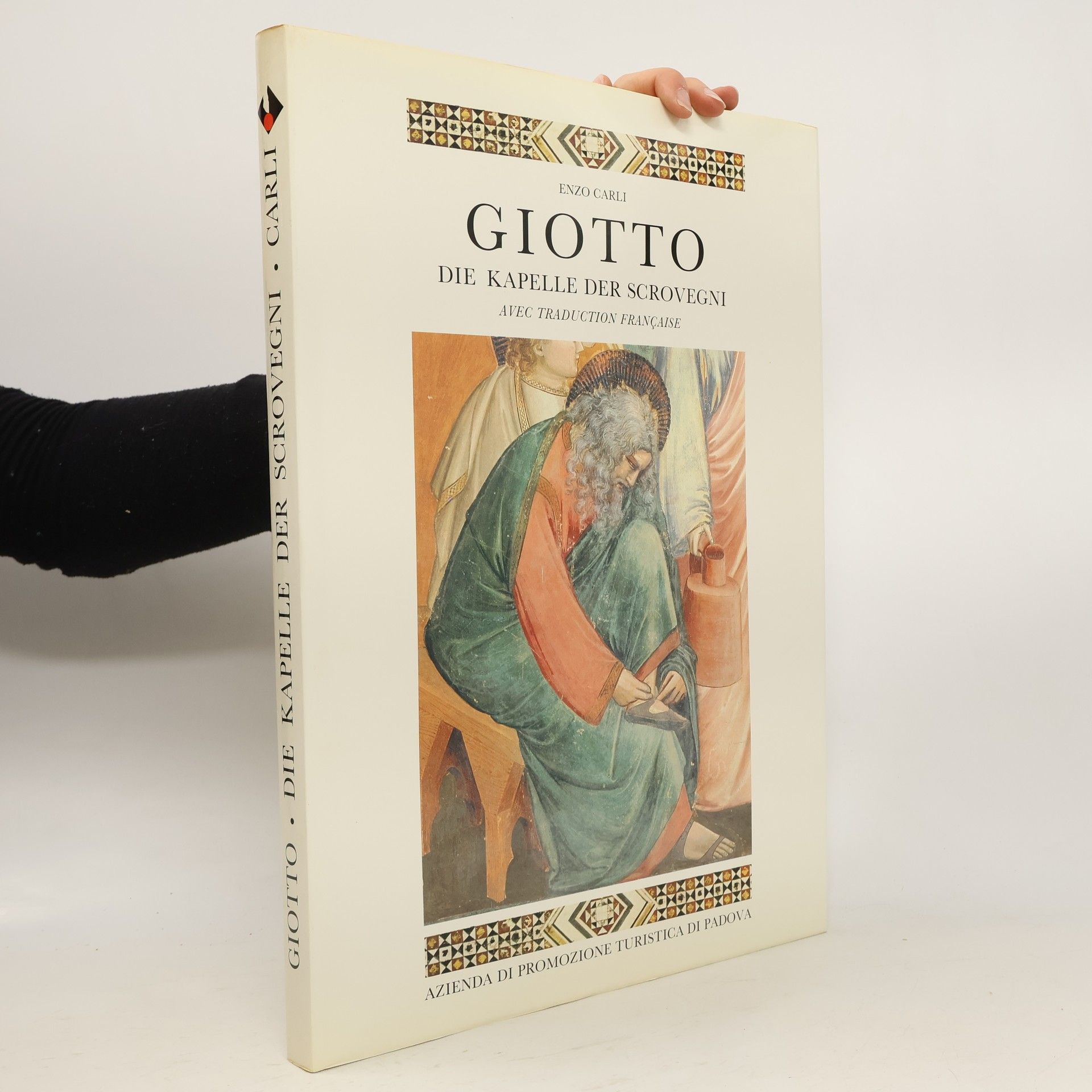 Giotto. Die Kapelle der Scrovegni