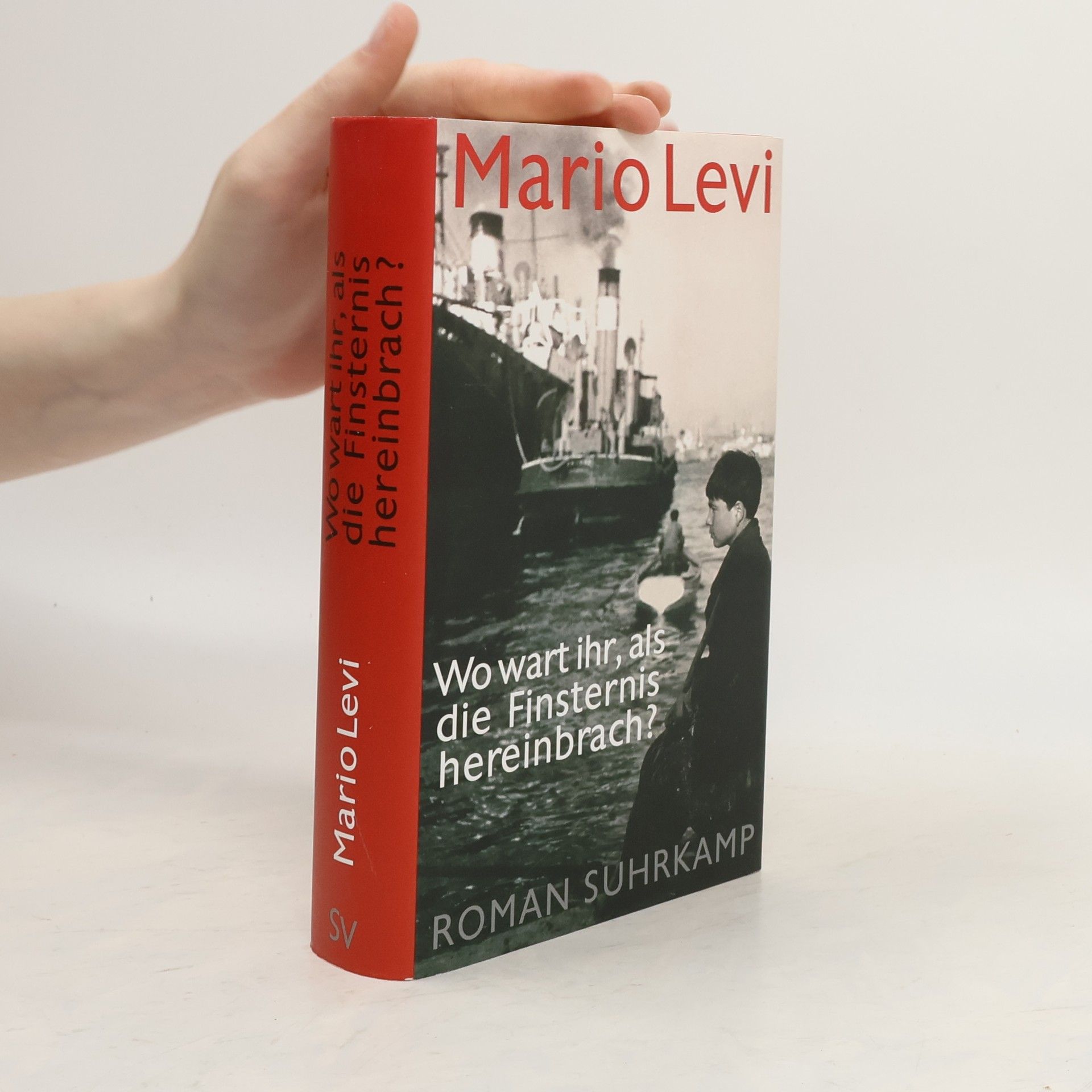 Mario Levi Wo wart ihr, als die Finsternis hereinbrach. Roman