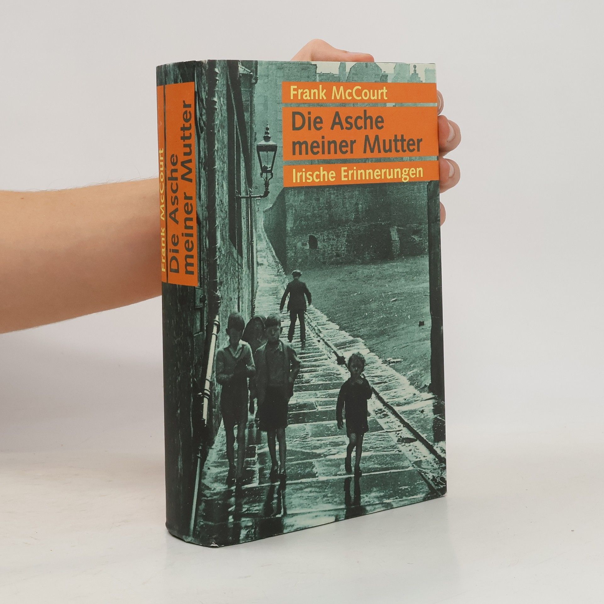 Frank McCourt Die Asche meiner Mutter