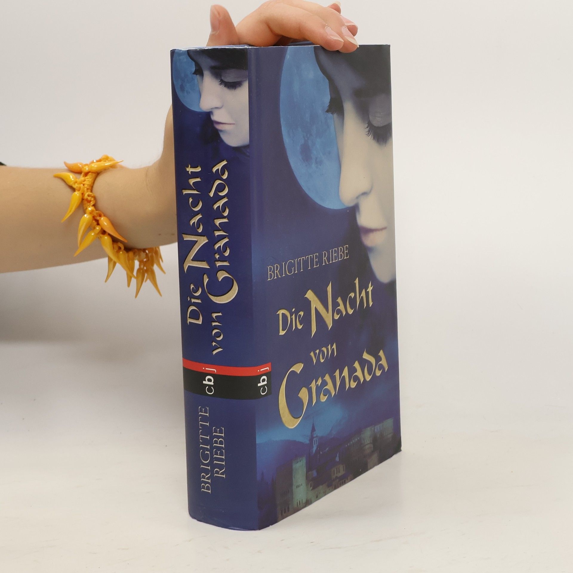 Brigitte Riebe Die Nacht von Granada