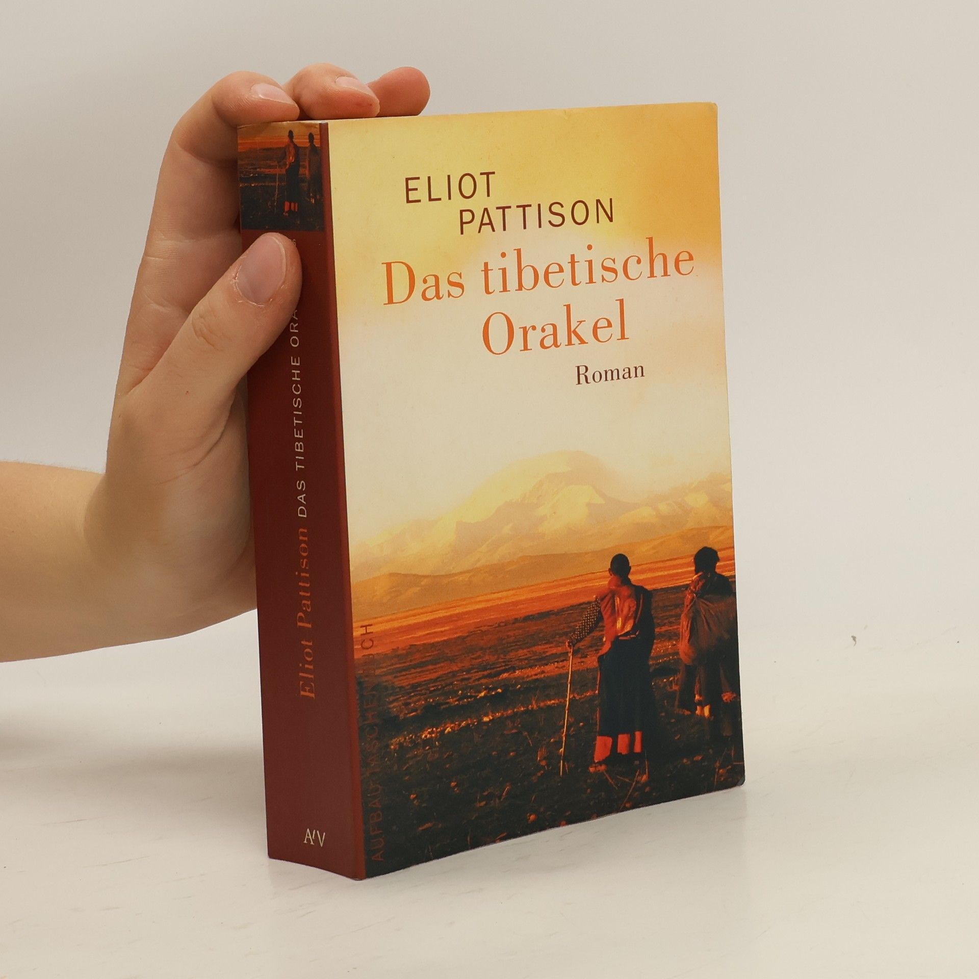 Eliot Pattison Das tibetische Orakel
