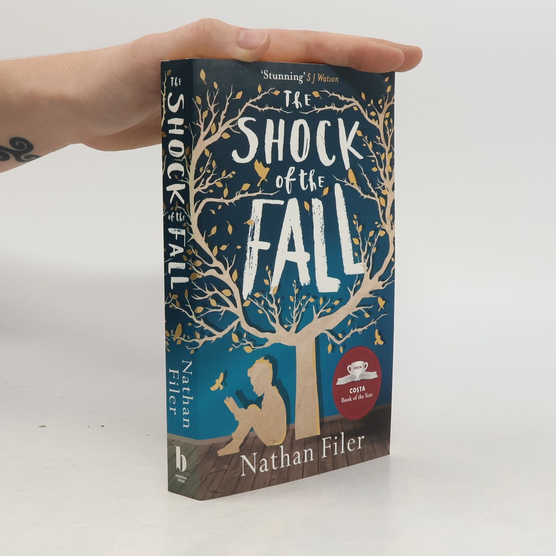 Nathan Filer The shock of the fall