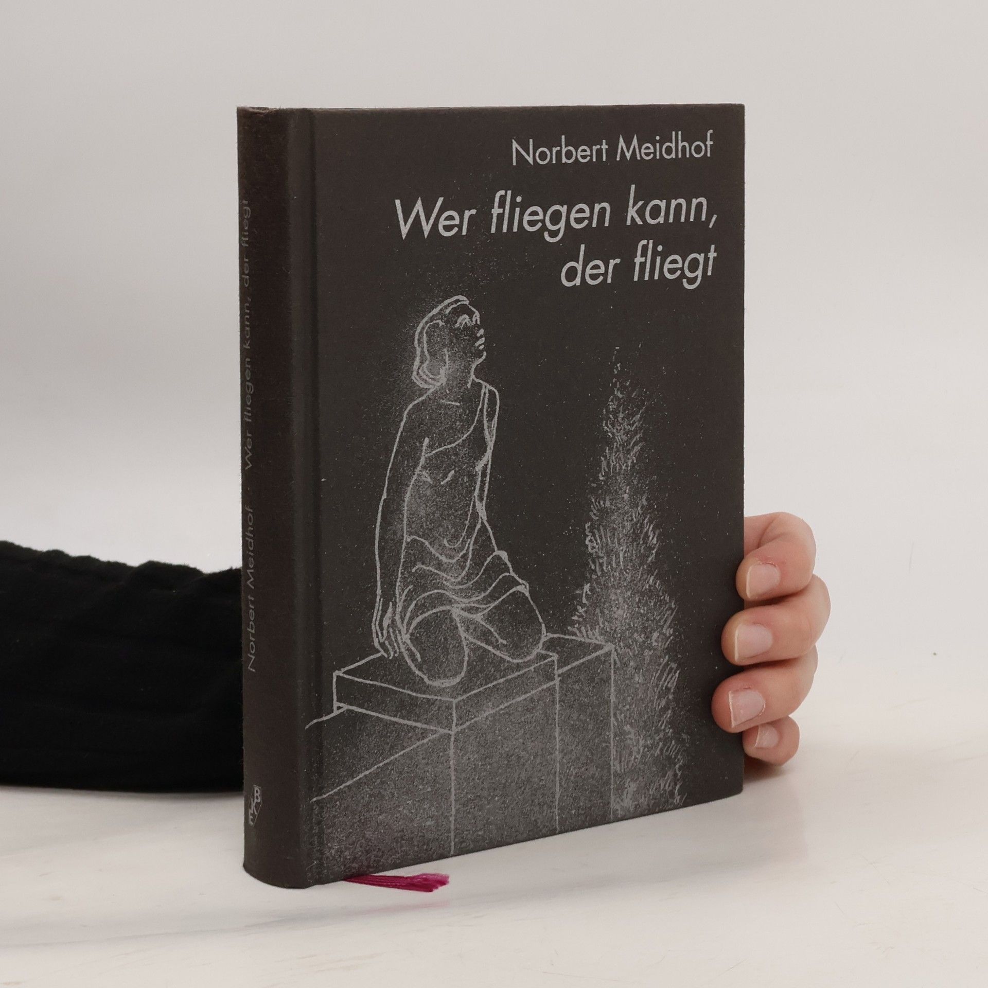 Norbert Meidhof Wer fliegen kann, der fliegt