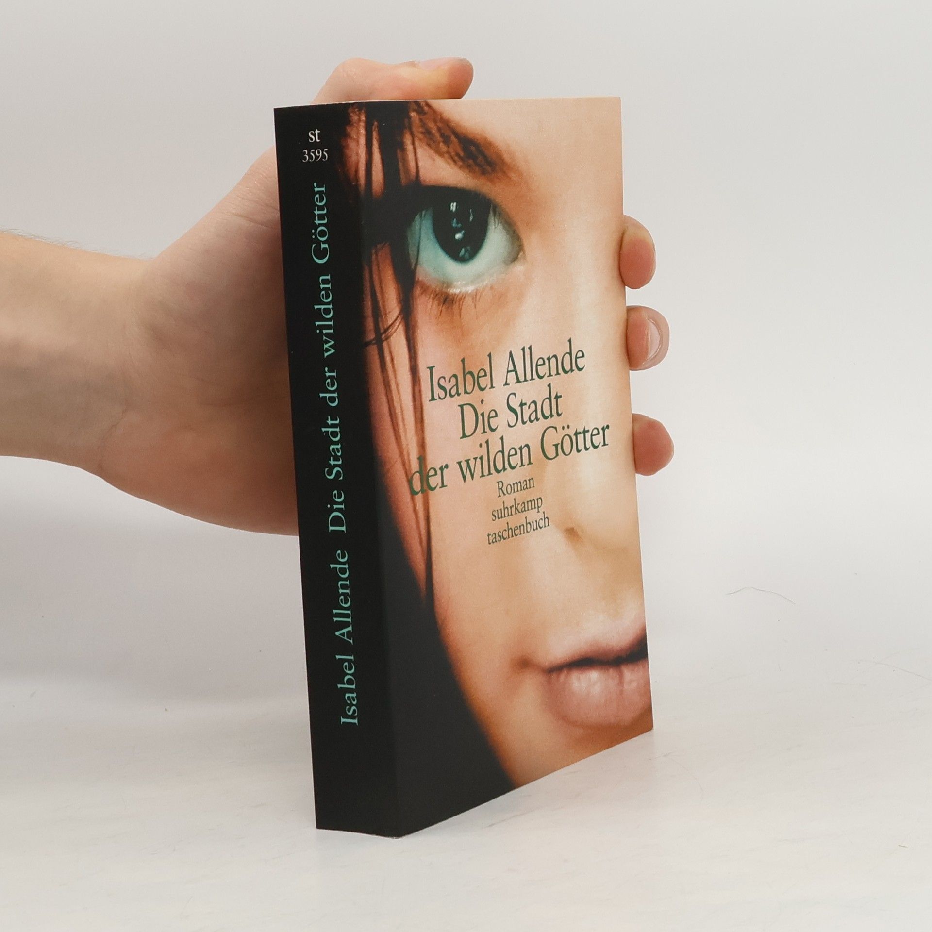 Isabel Allende Die Stadt der wilden Götter