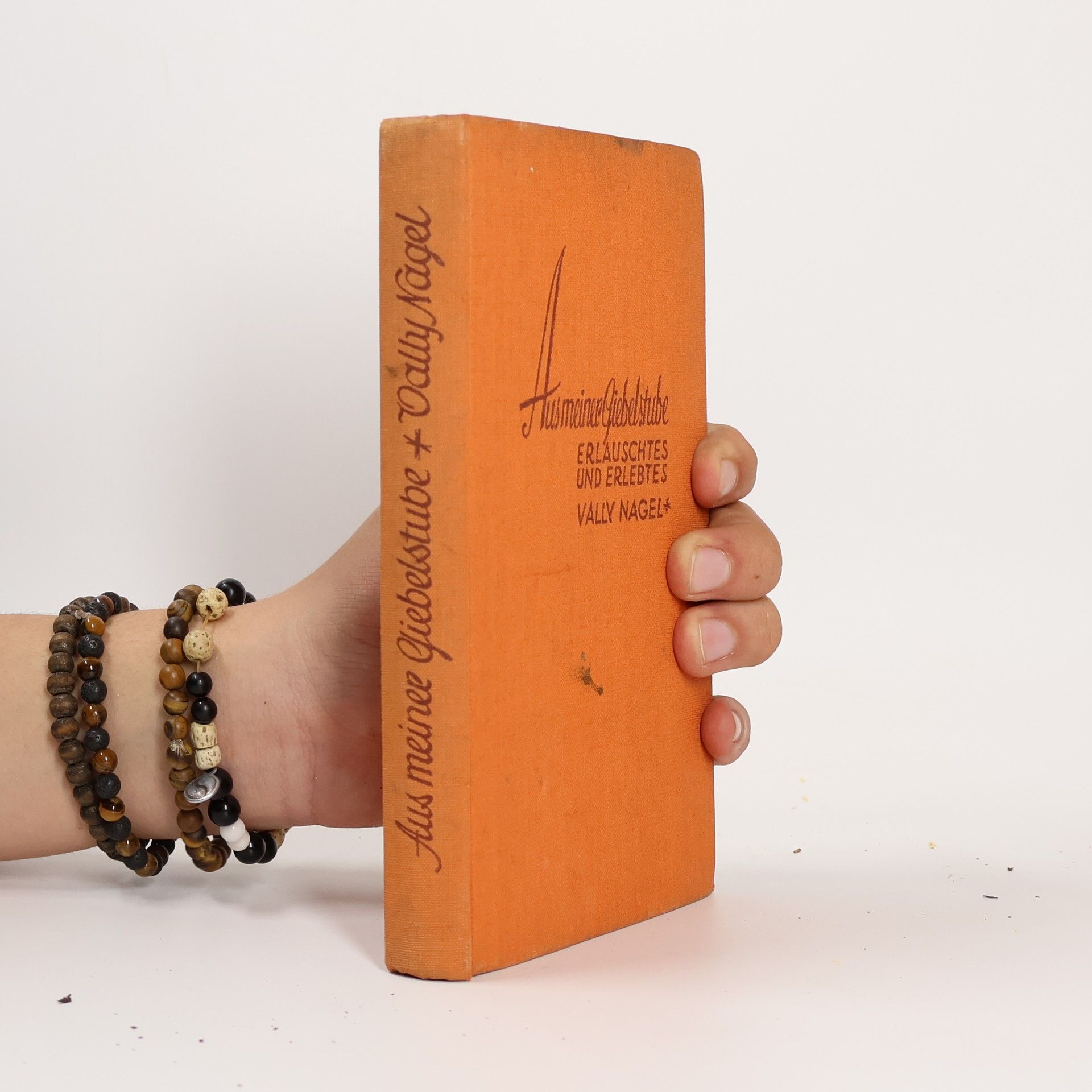 Vally Nagel Aus meiner Siebelstube