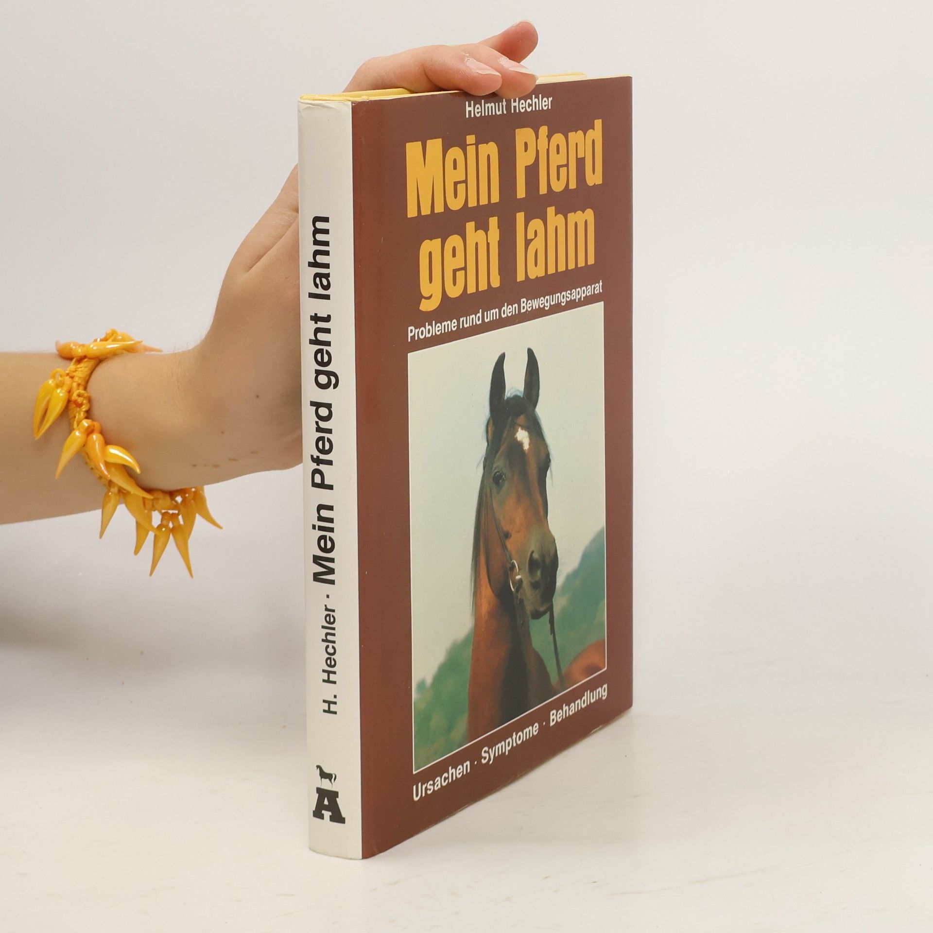 Helmut Hechler Mein Pferd geht lahm