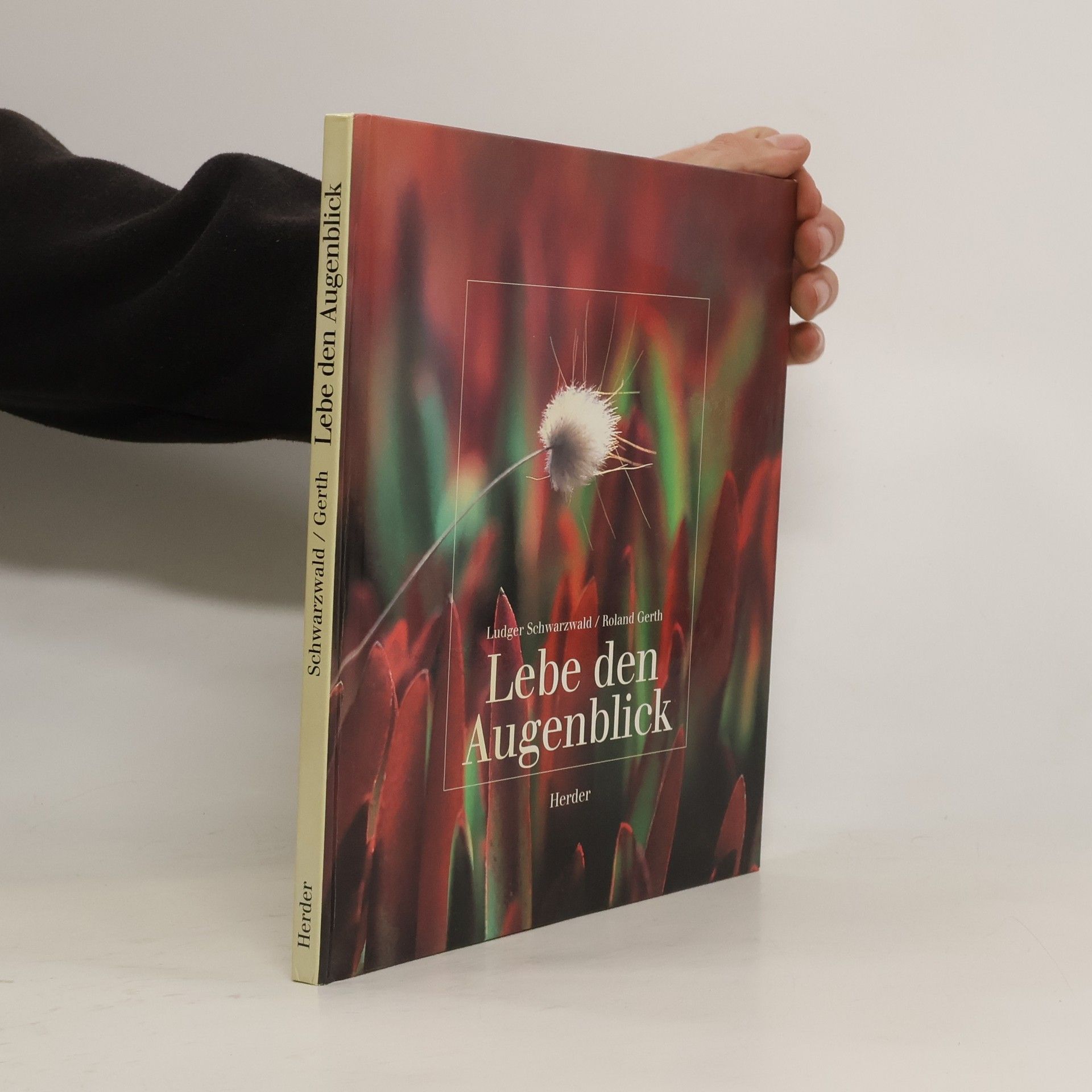 Roland Gerth Lebe den Augenblick