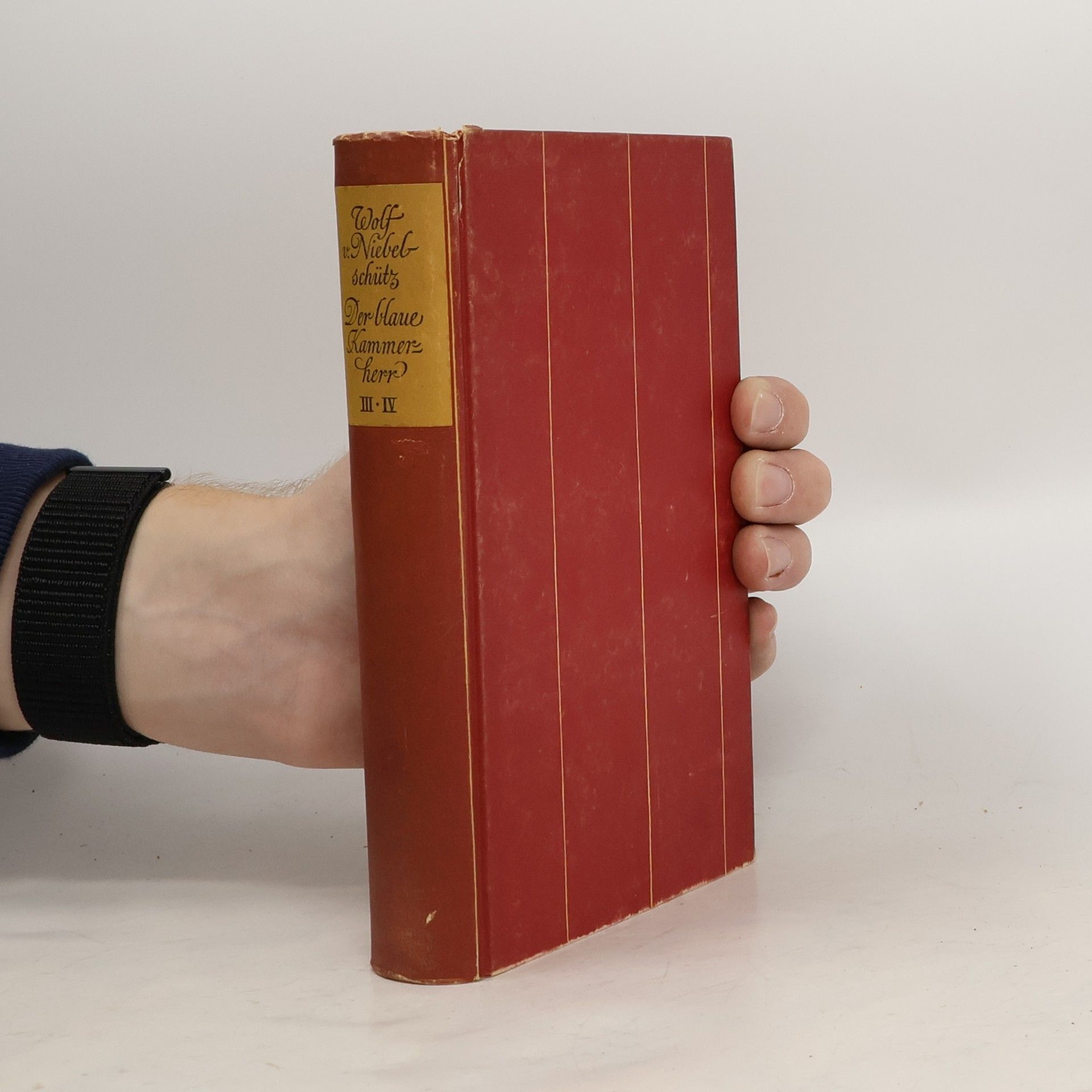 Wolf von Niebelschütz Der blaue Kammerherr 3