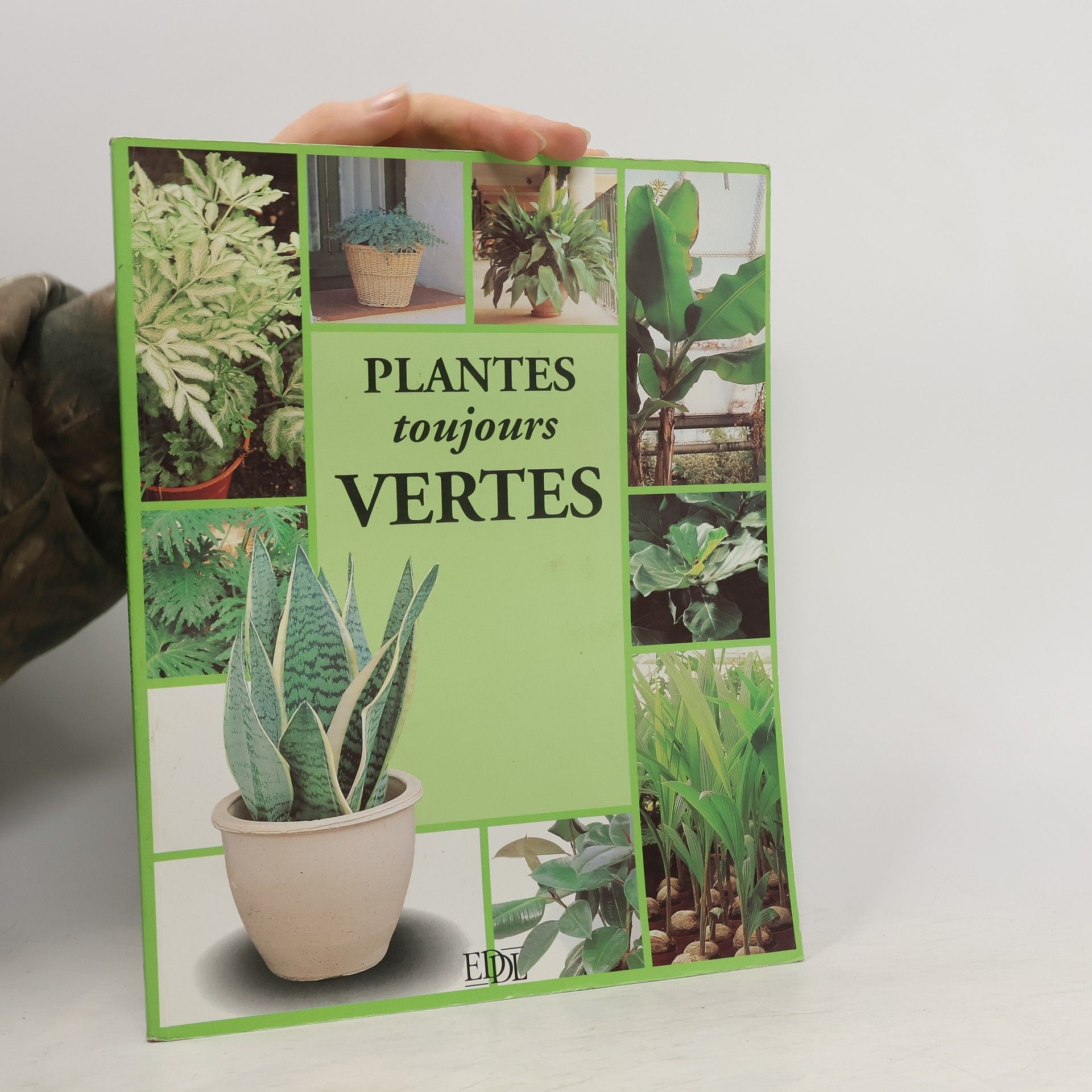 Collectif d'auteurs Plantes toujours vertes