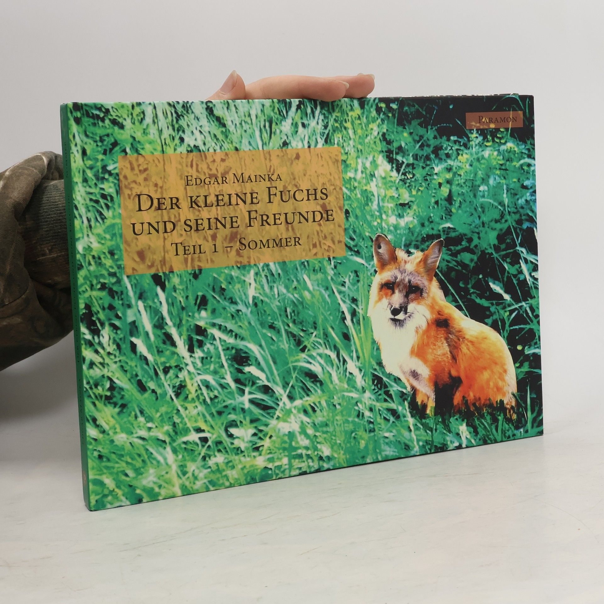 Edgar Mainka Der kleine Fuchs und seine Freunde - Sommer
