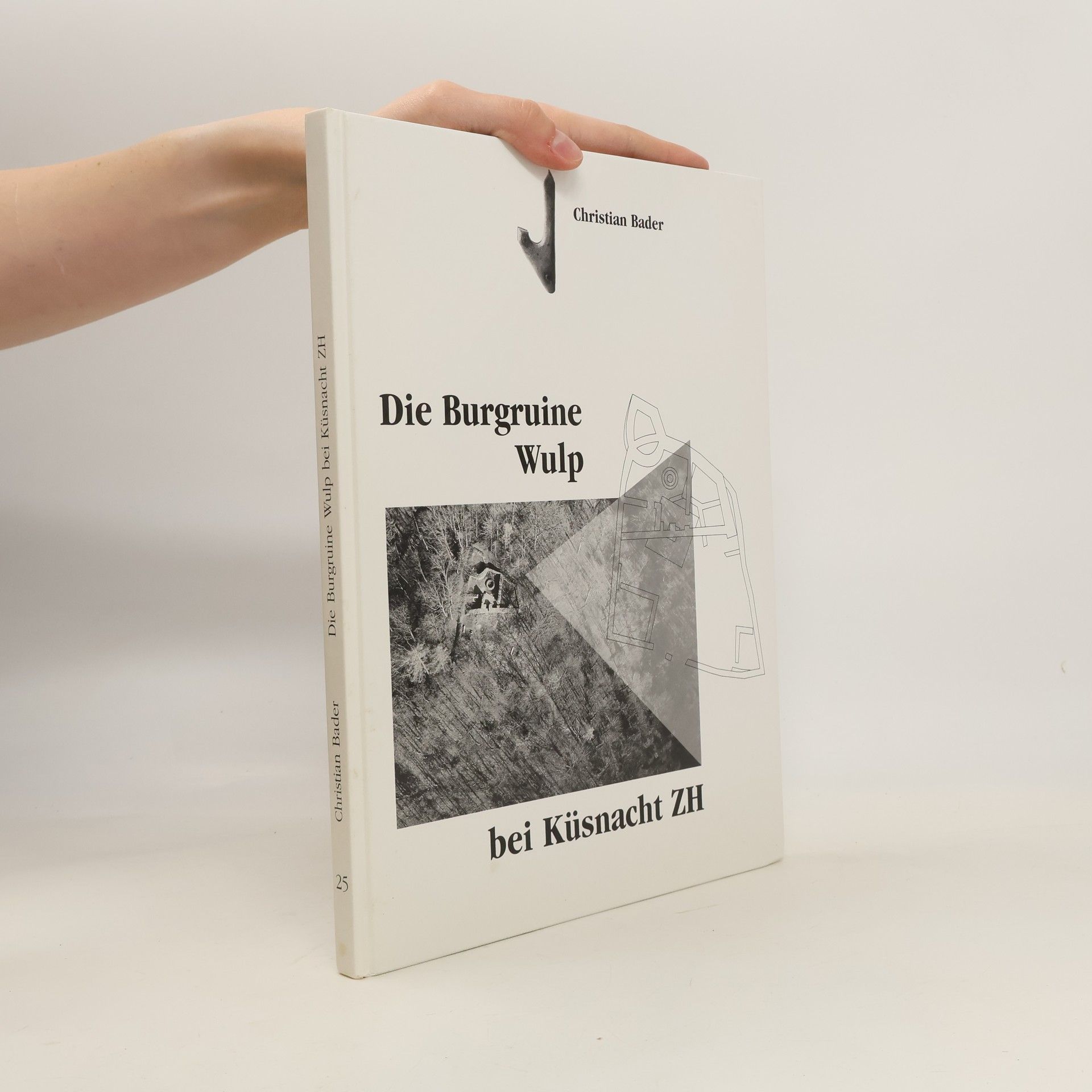 Christian Bader Die Burgruine Wulp bei Küsnacht ZH