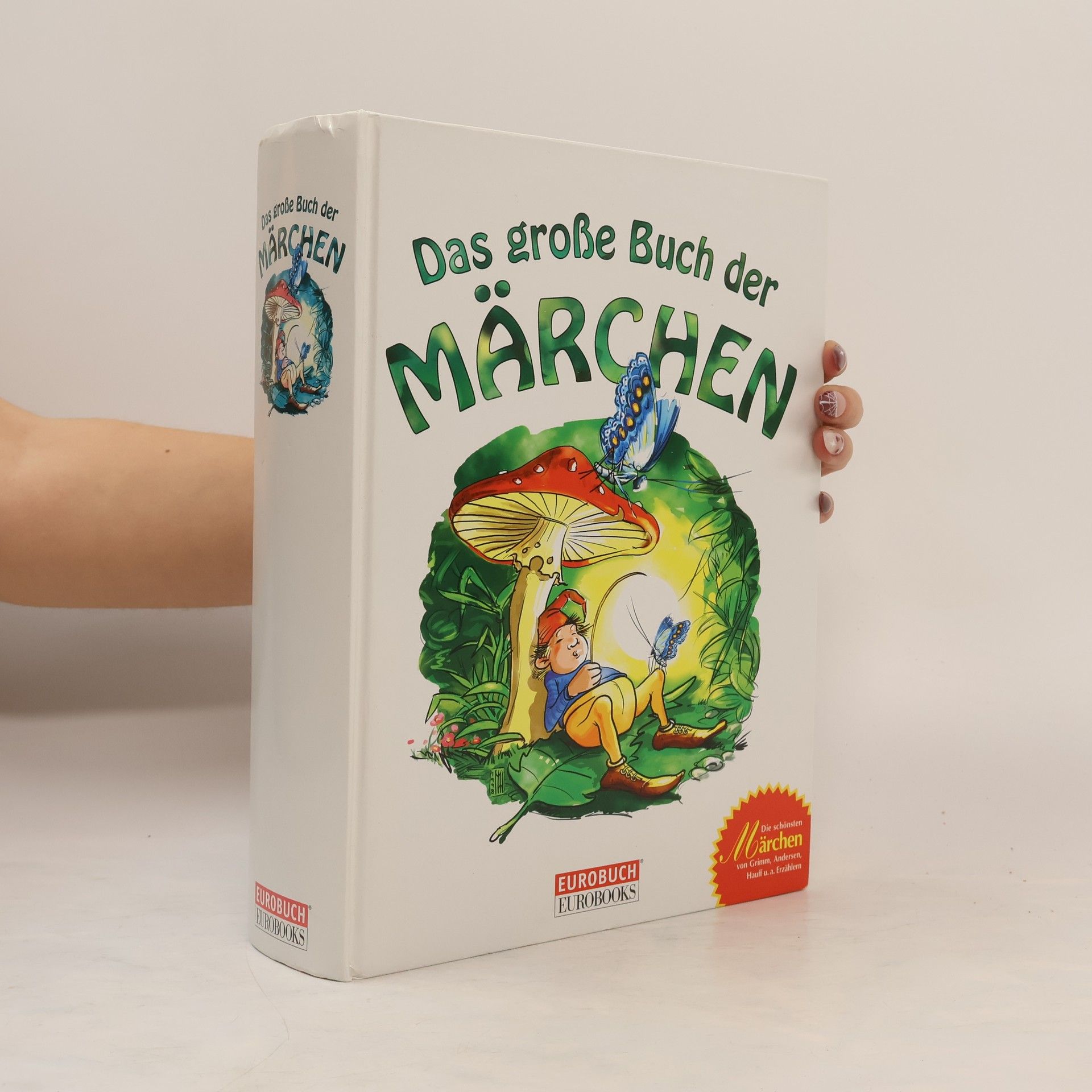 Autorenkollektiv Das große Buch der Märchen