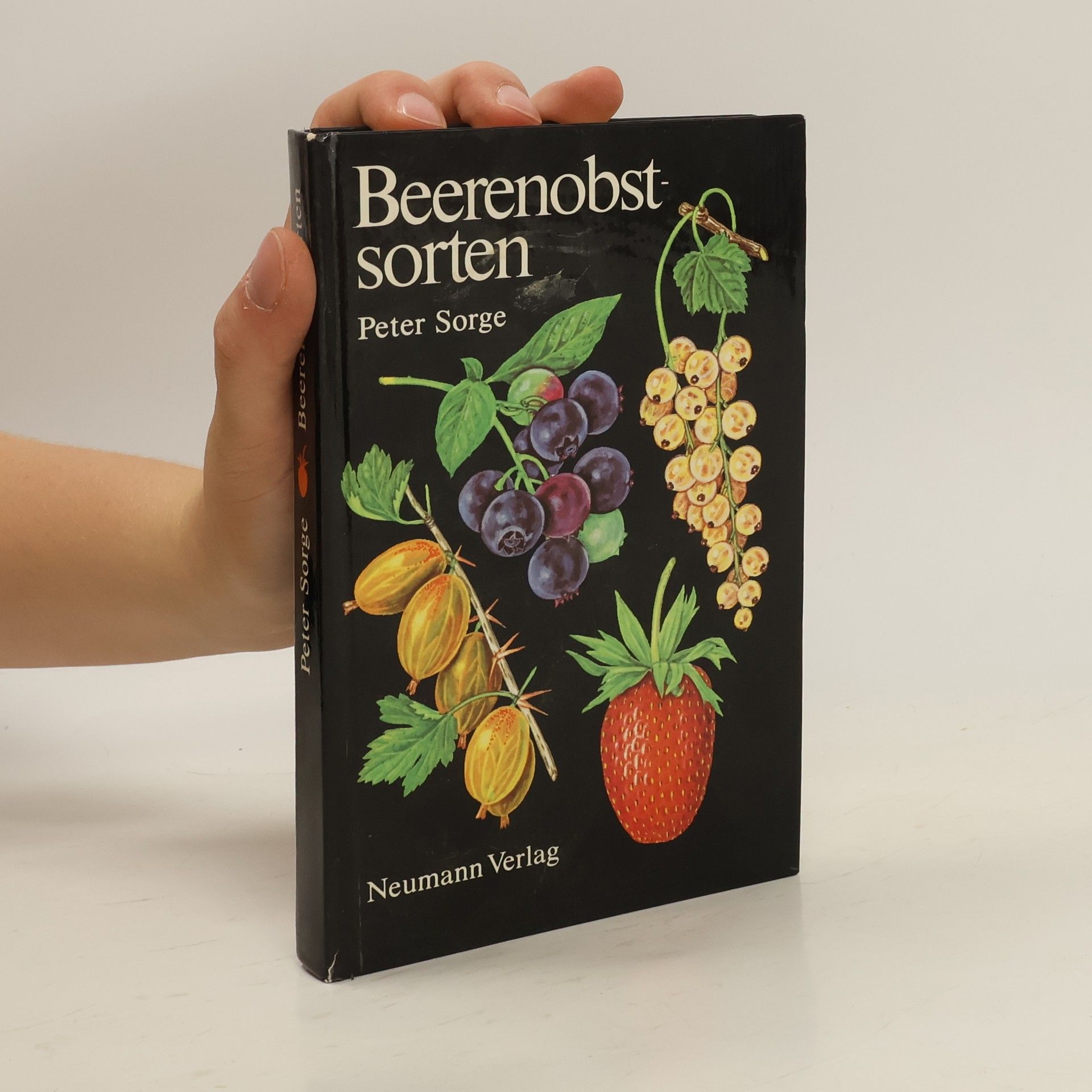 Peter Sorge Beerenobstsorten