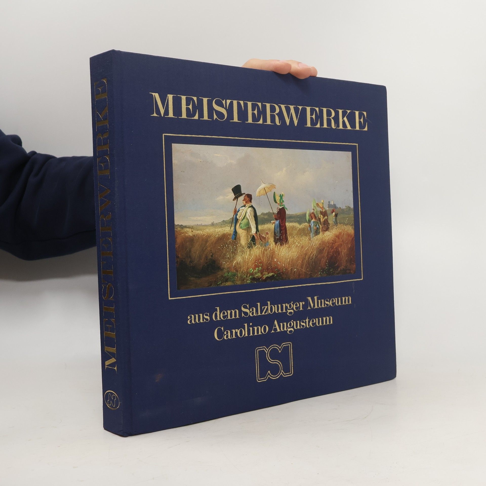 Autorenkollektiv Meisterwerke aus dem Salzburger Museum Carolino Augusteum
