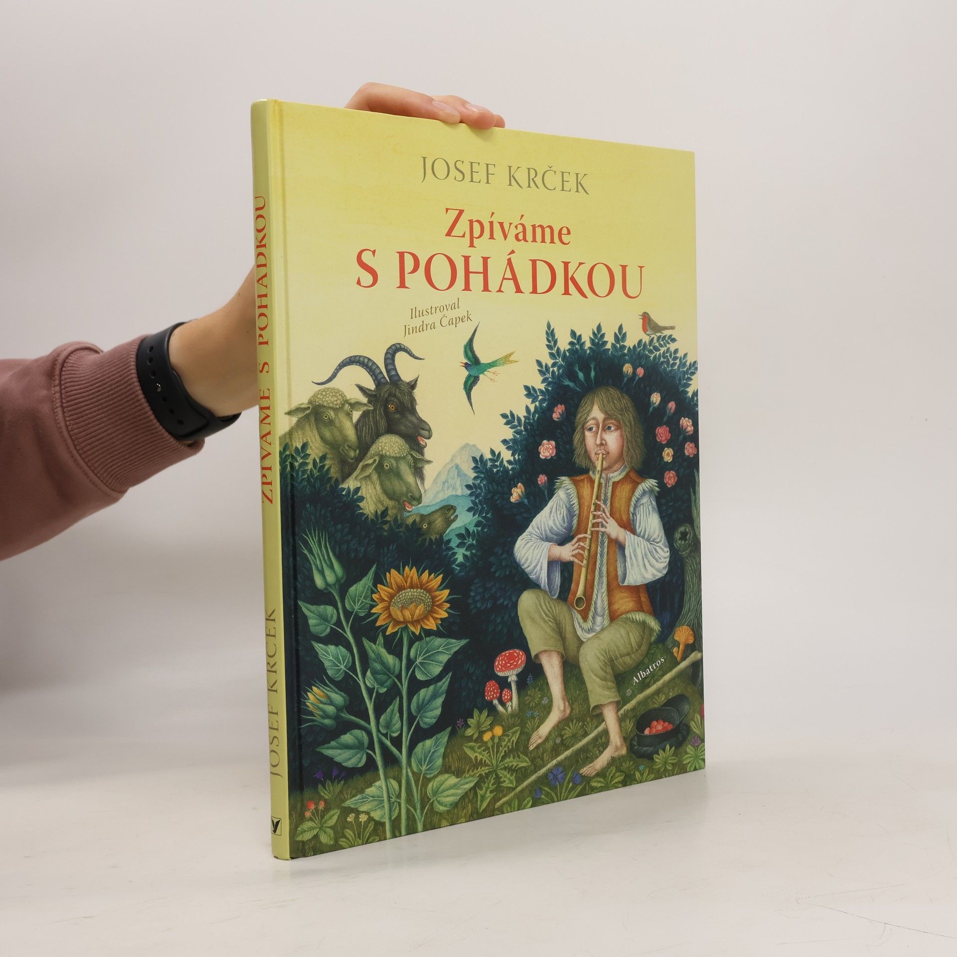 Zpíváme s pohádkou
