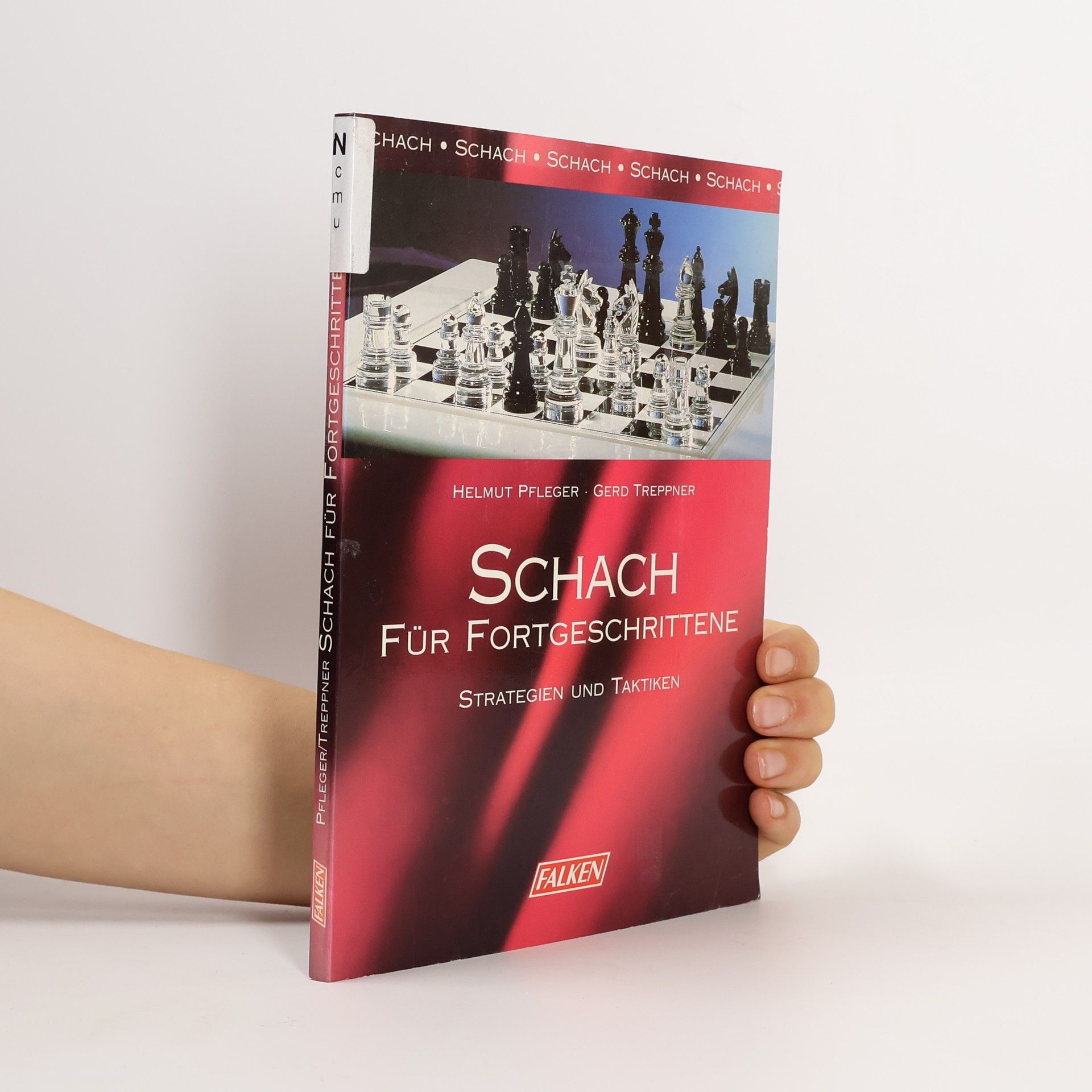 Helmut Pfleger Schach für Fortgeschrittene