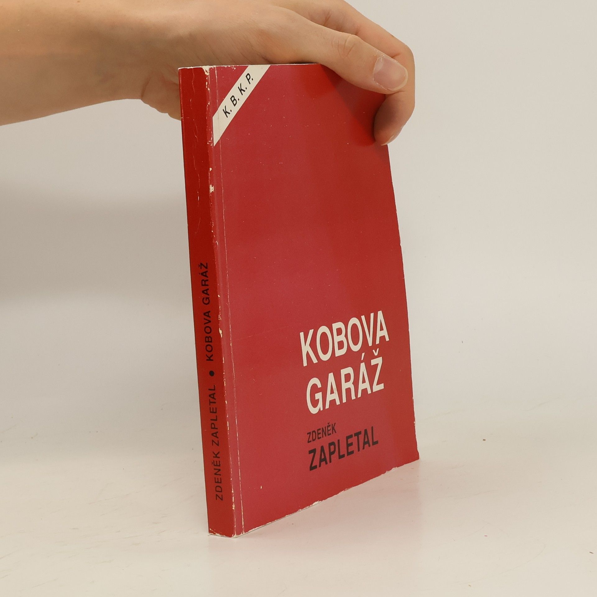 Zdeněk Zapletal Kobova garáž