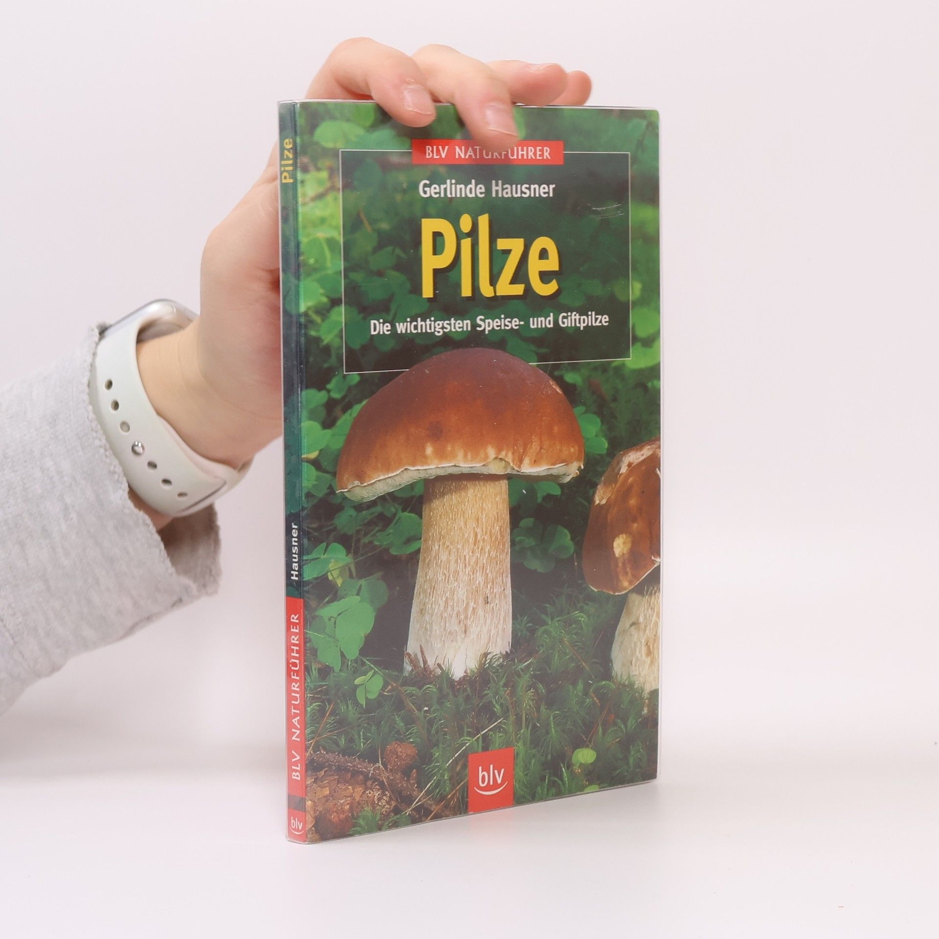 Gerlinde Hausner Pilze