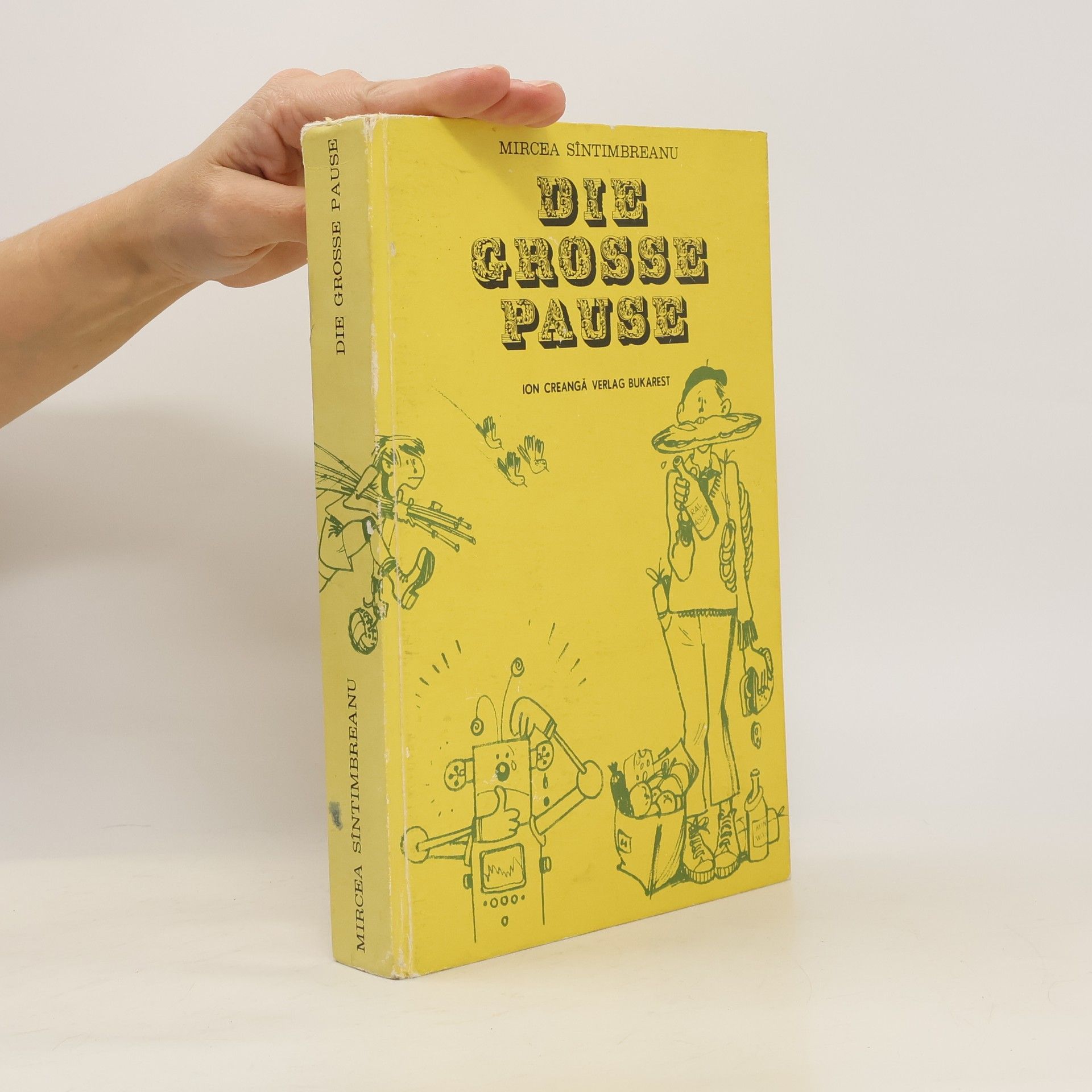 Mircela Sintimbreanu Die Grosse Pause