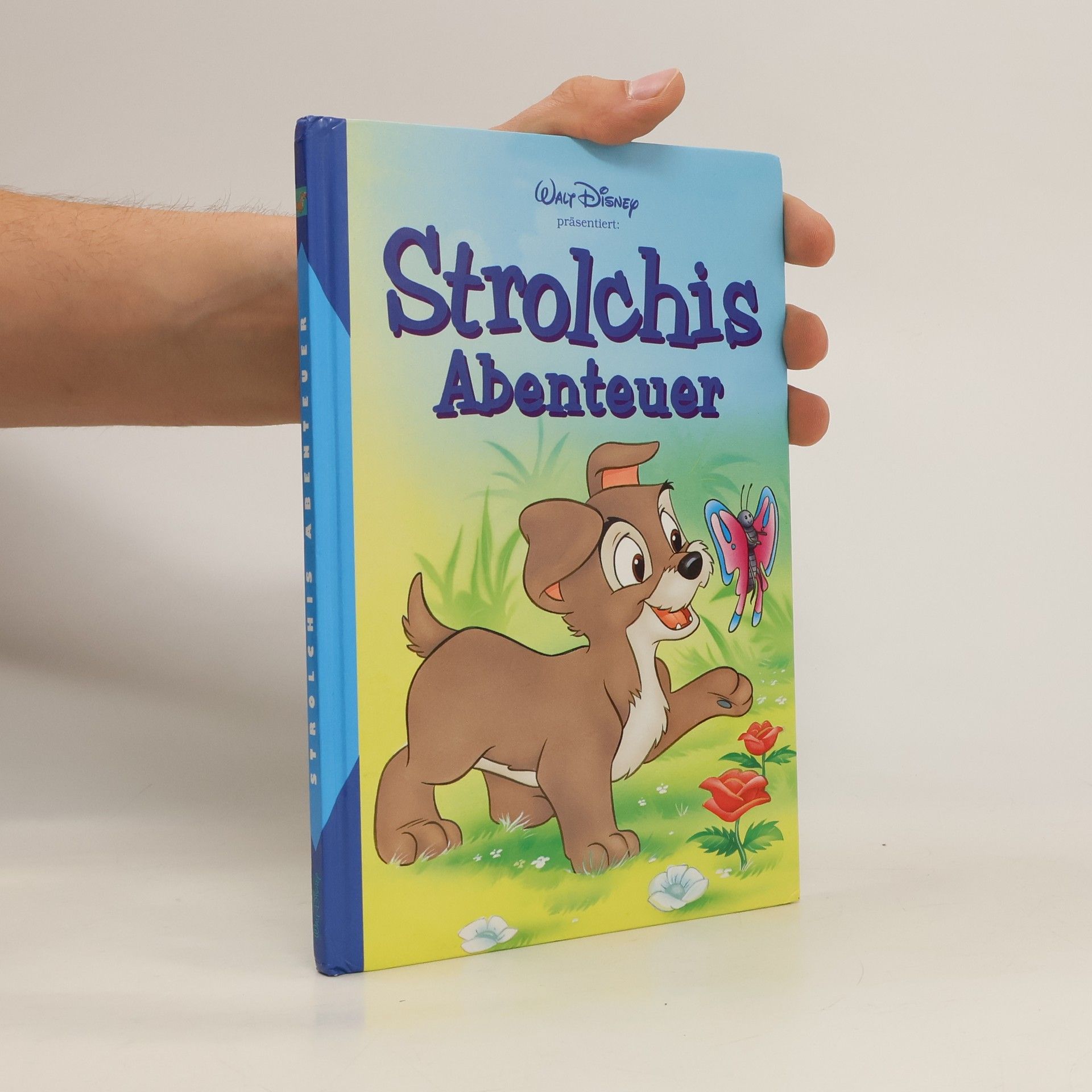 Autorenkollektiv Strolchis Abenteuer