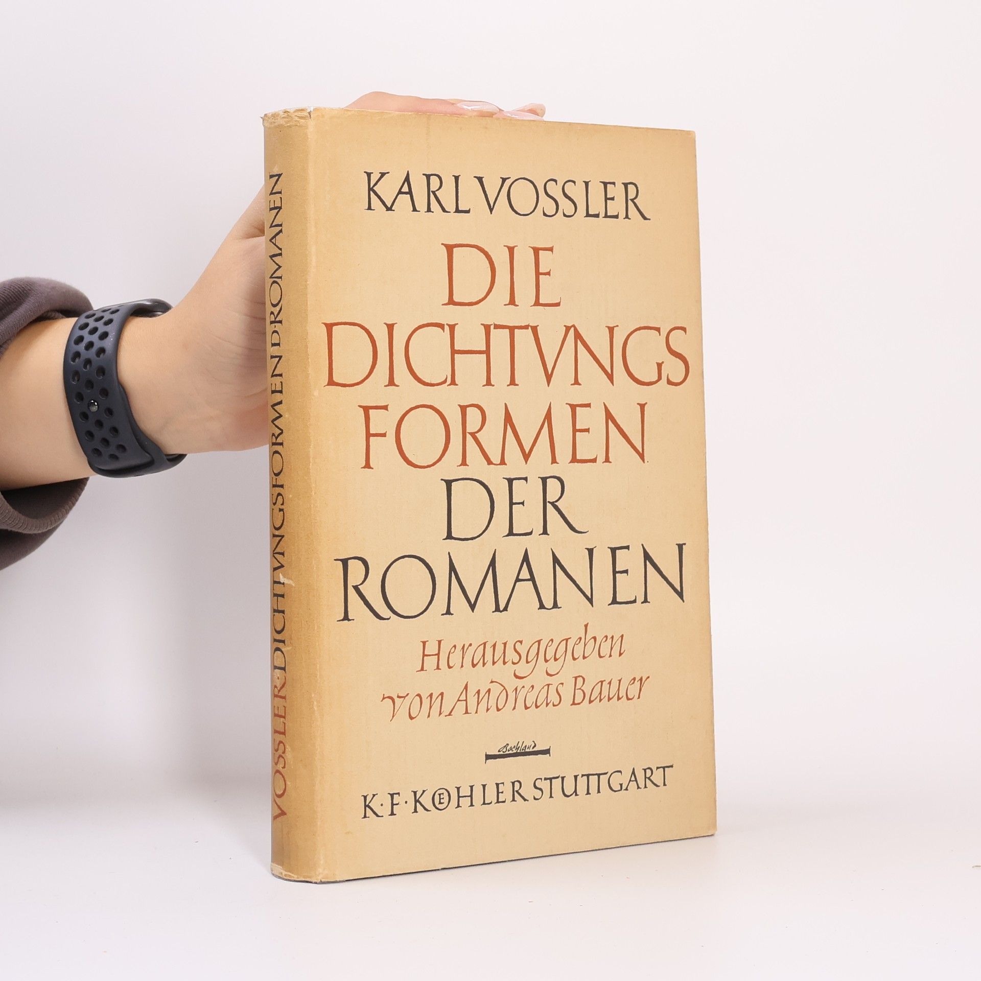 Karl Vossler Die Dichtungsformen der Romanen