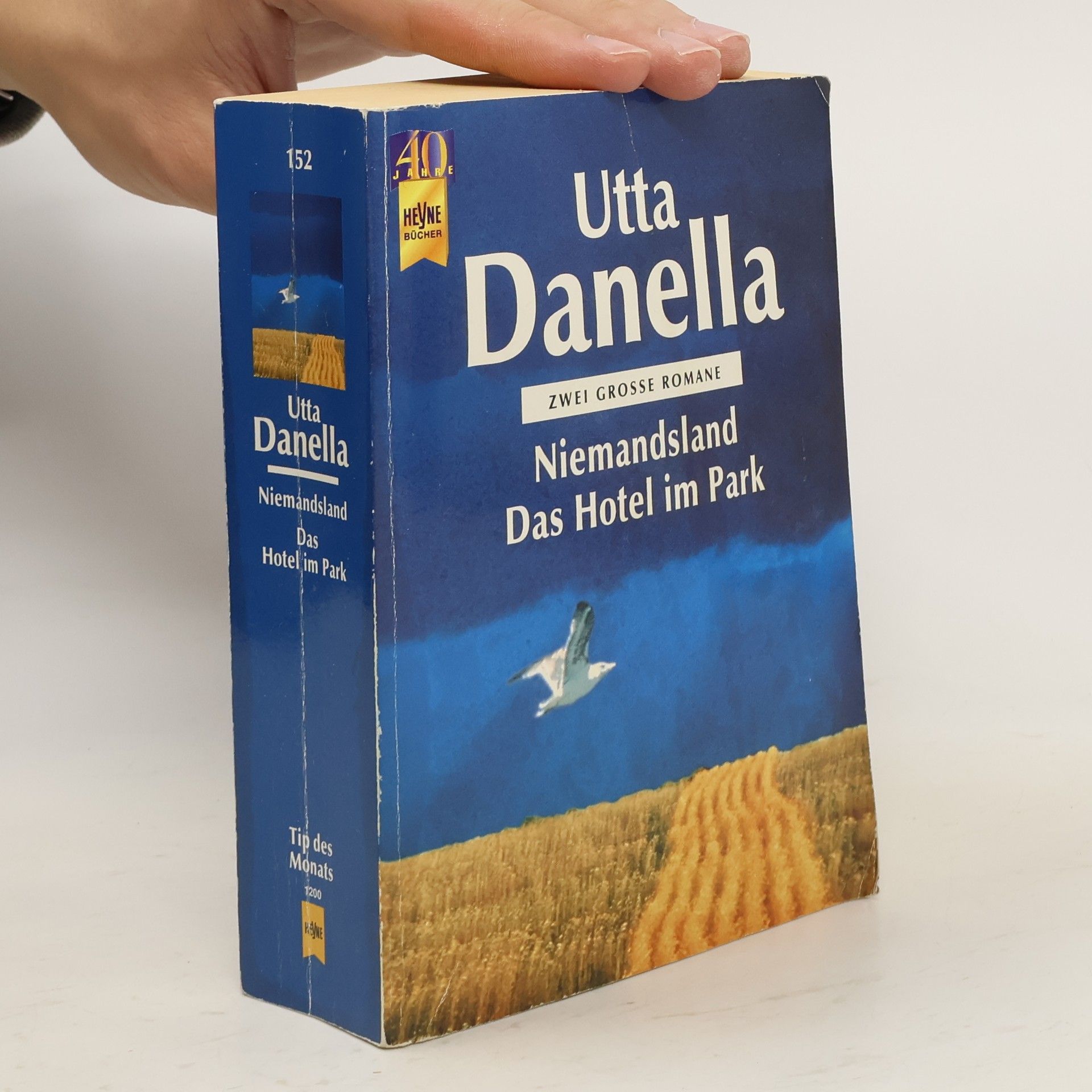 Utta Danella Niemandsland. Das Hotel im Park. Zwei große Romane