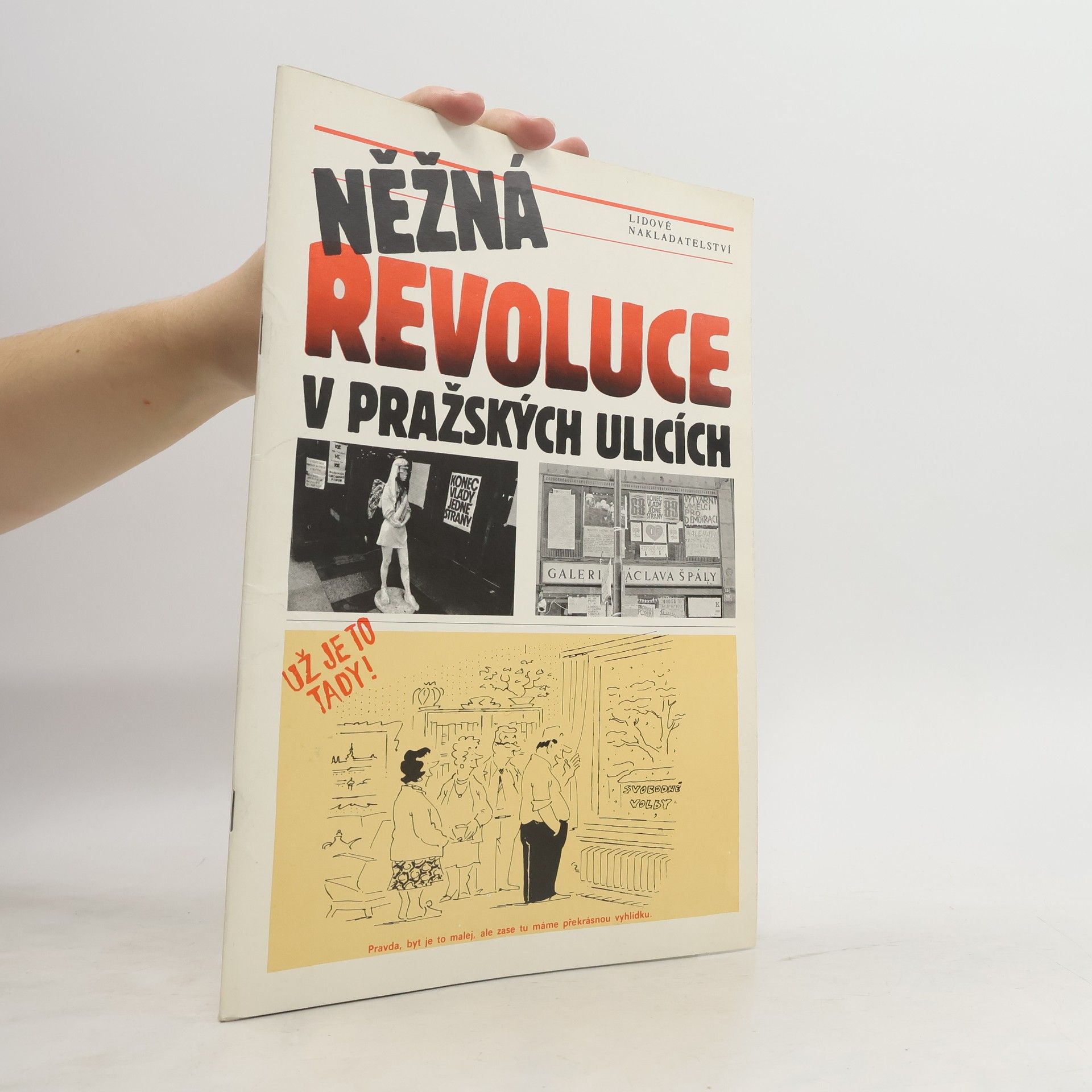 Kolektív autorov Něžná revoluce v pražských ulicích