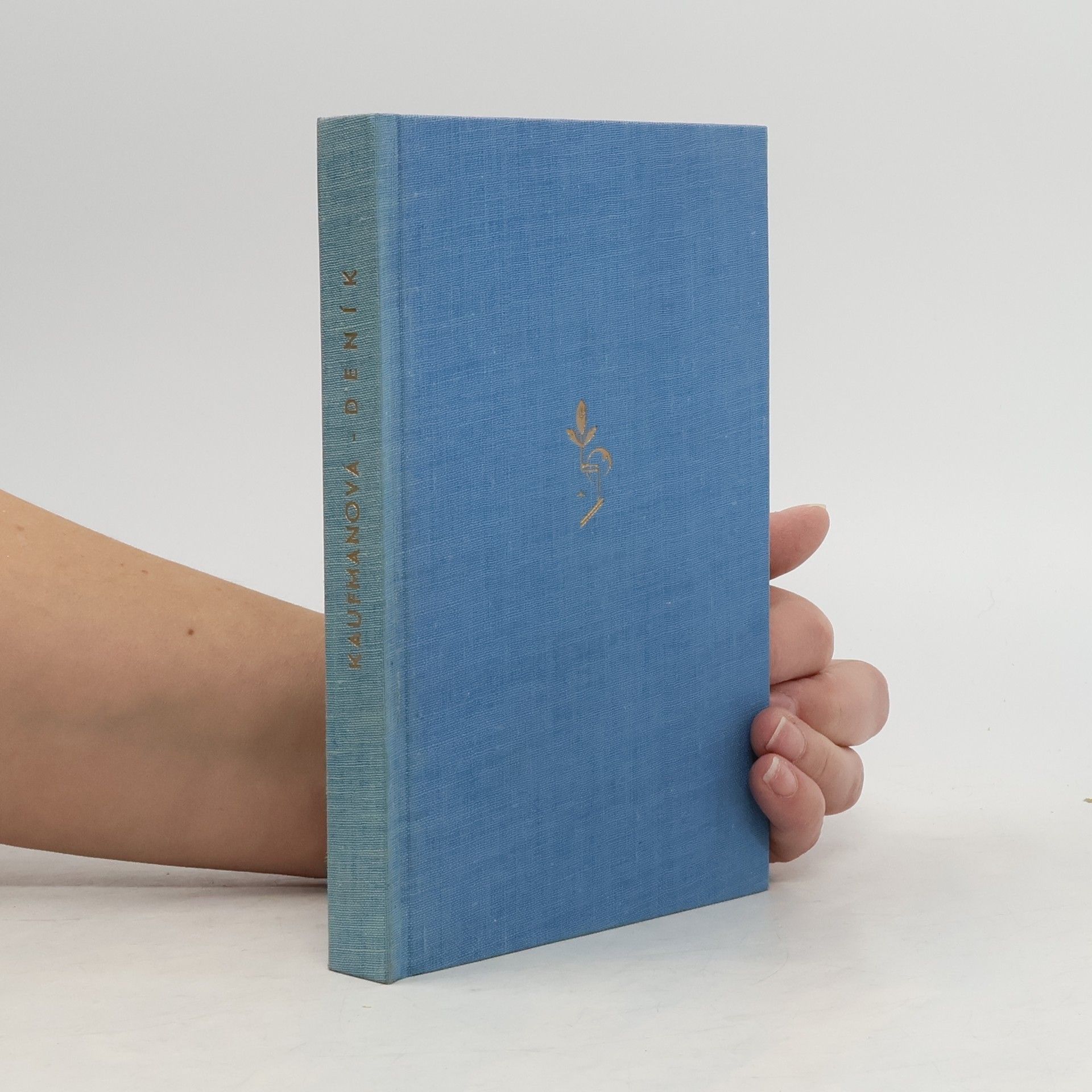 Deník americké manželky