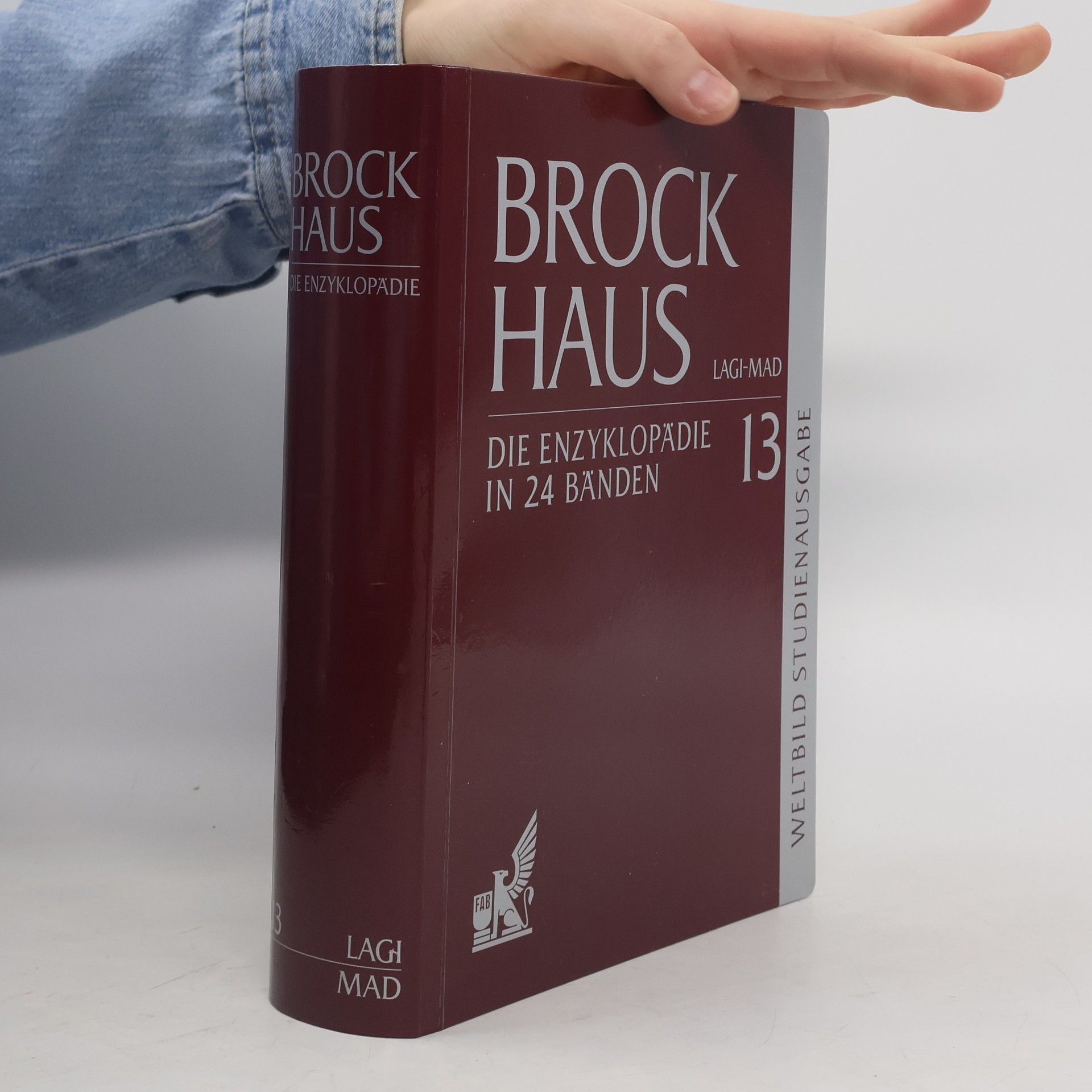 AA.VV. Brockhaus 13. Lagi-Mad