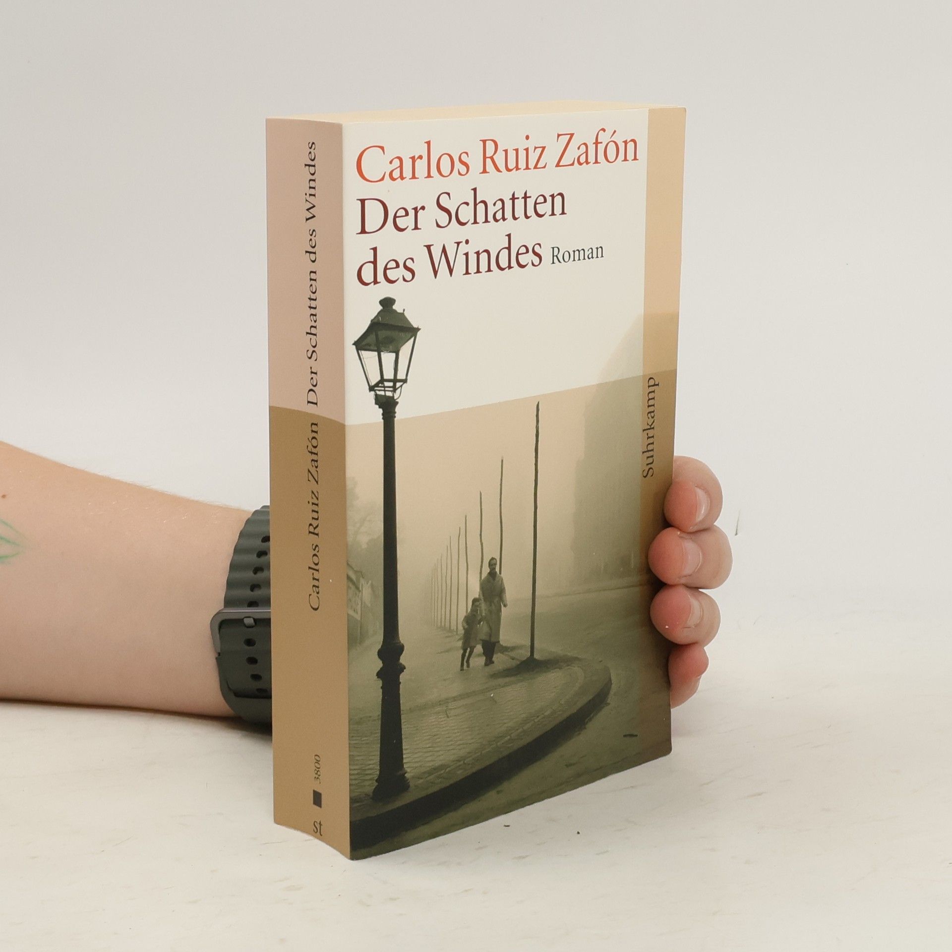 Carlos Ruis Zafon Der Schatten des Windes