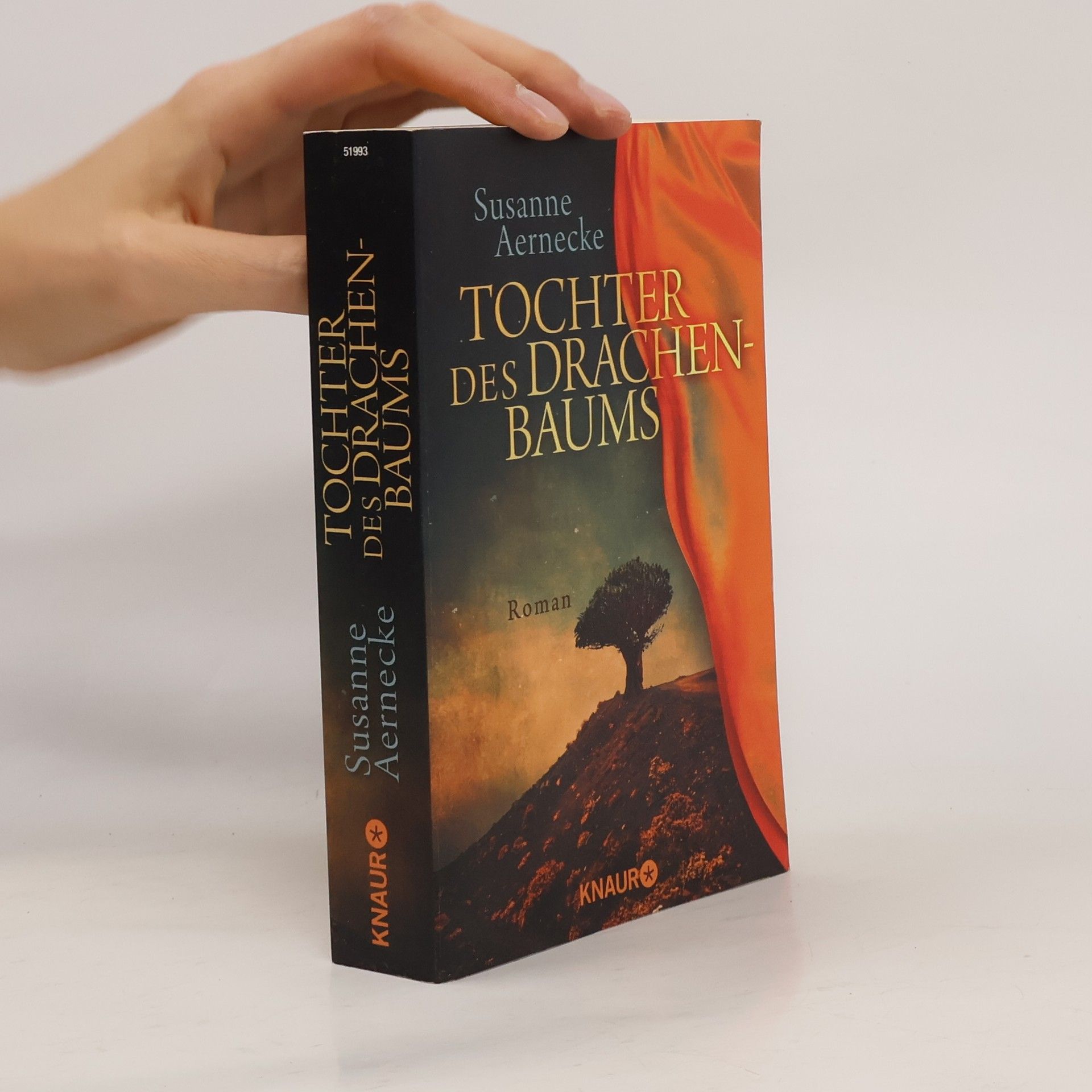 Susanne Aernecke Tochter des Drachenbaums