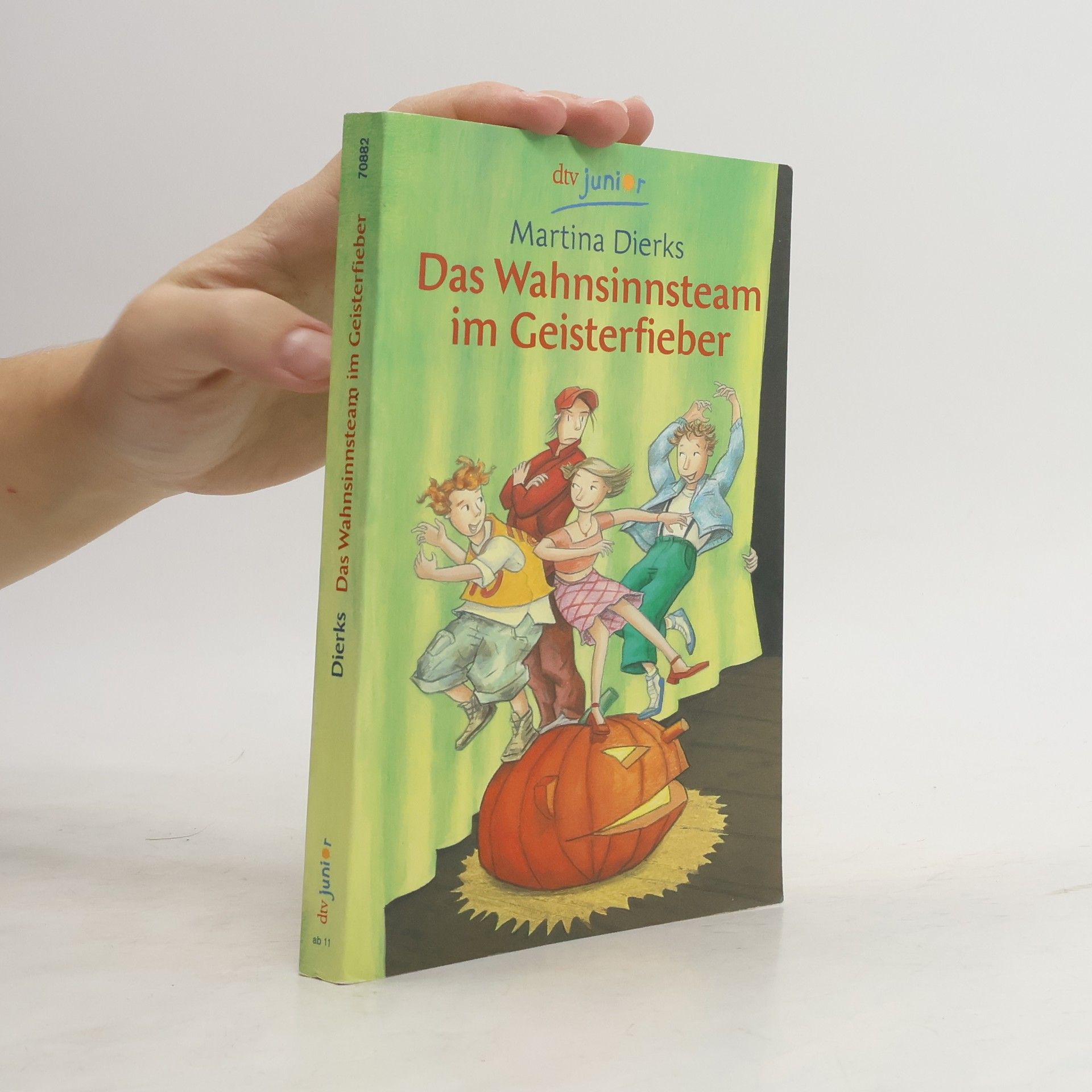 Martina Dierks Das Wahnsinnsteam im Geisterfieber