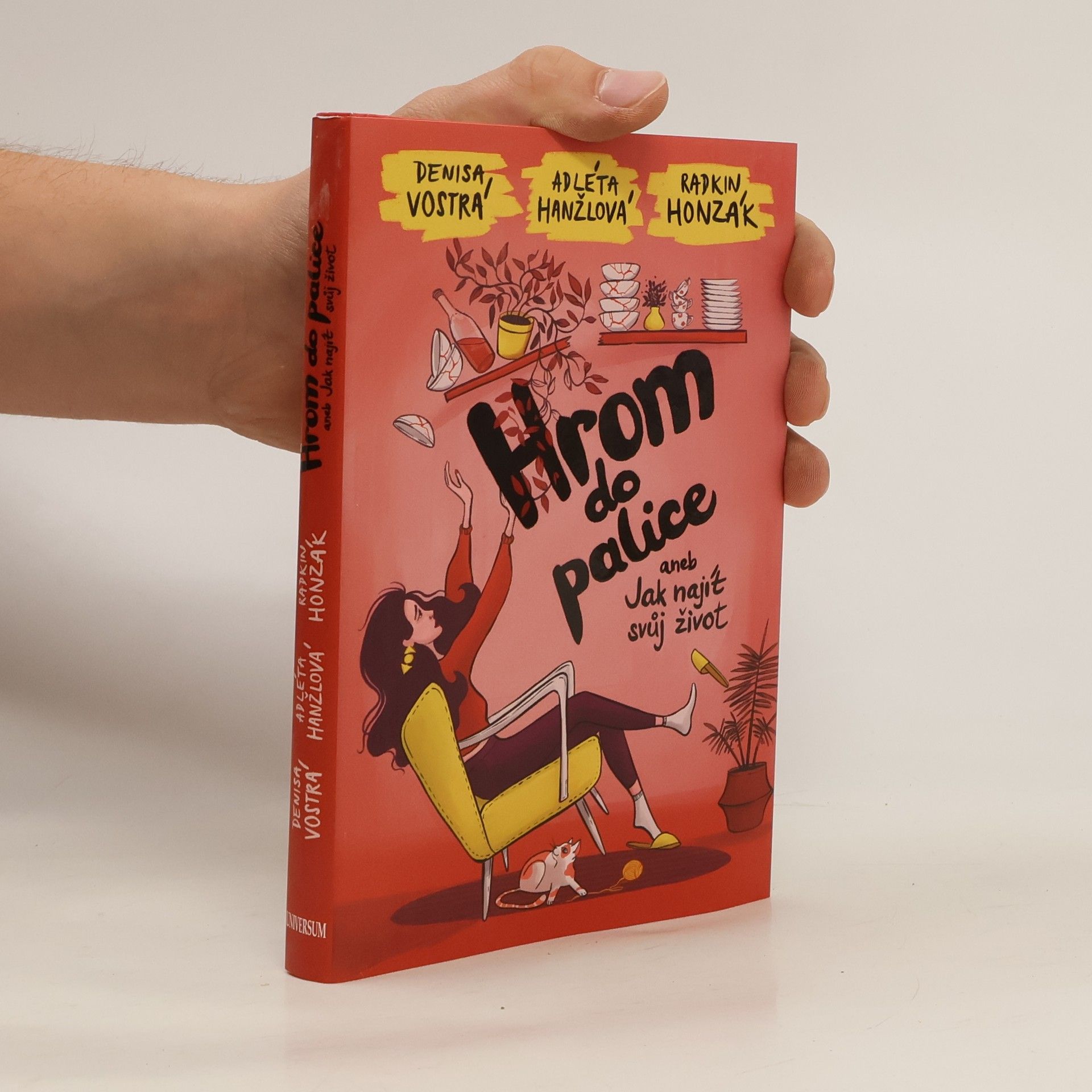 Hrom do palice, aneb, Jak najít svůj život