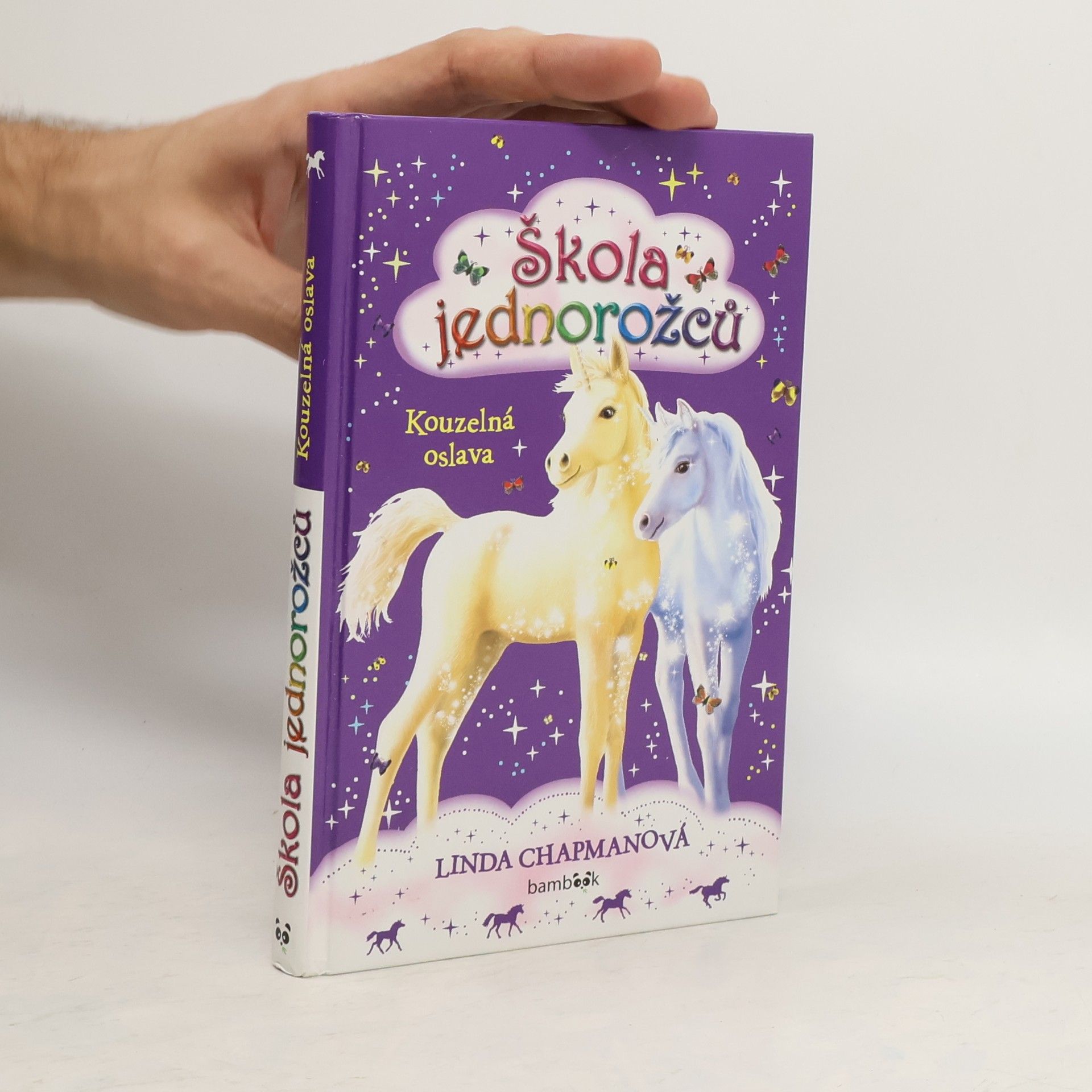 Linda Chapman Kouzelná oslava