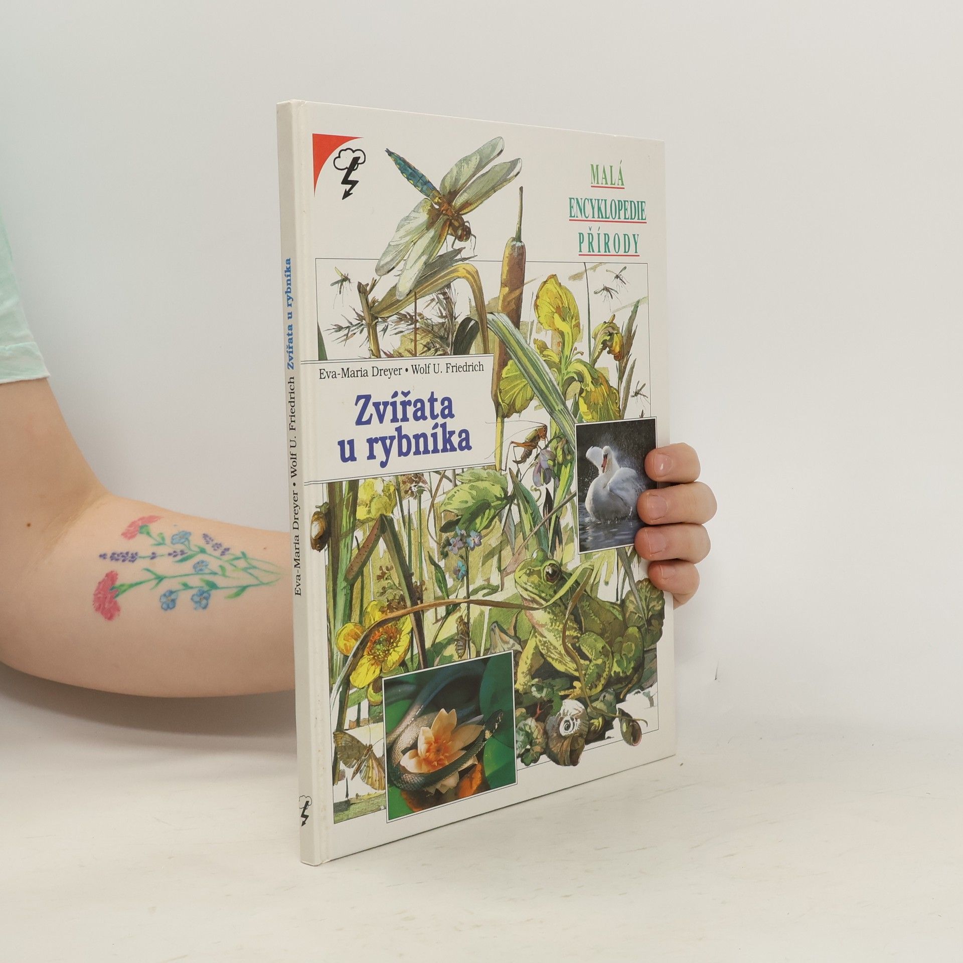 Eva-Maria Dreyer Zvířata u rybníka