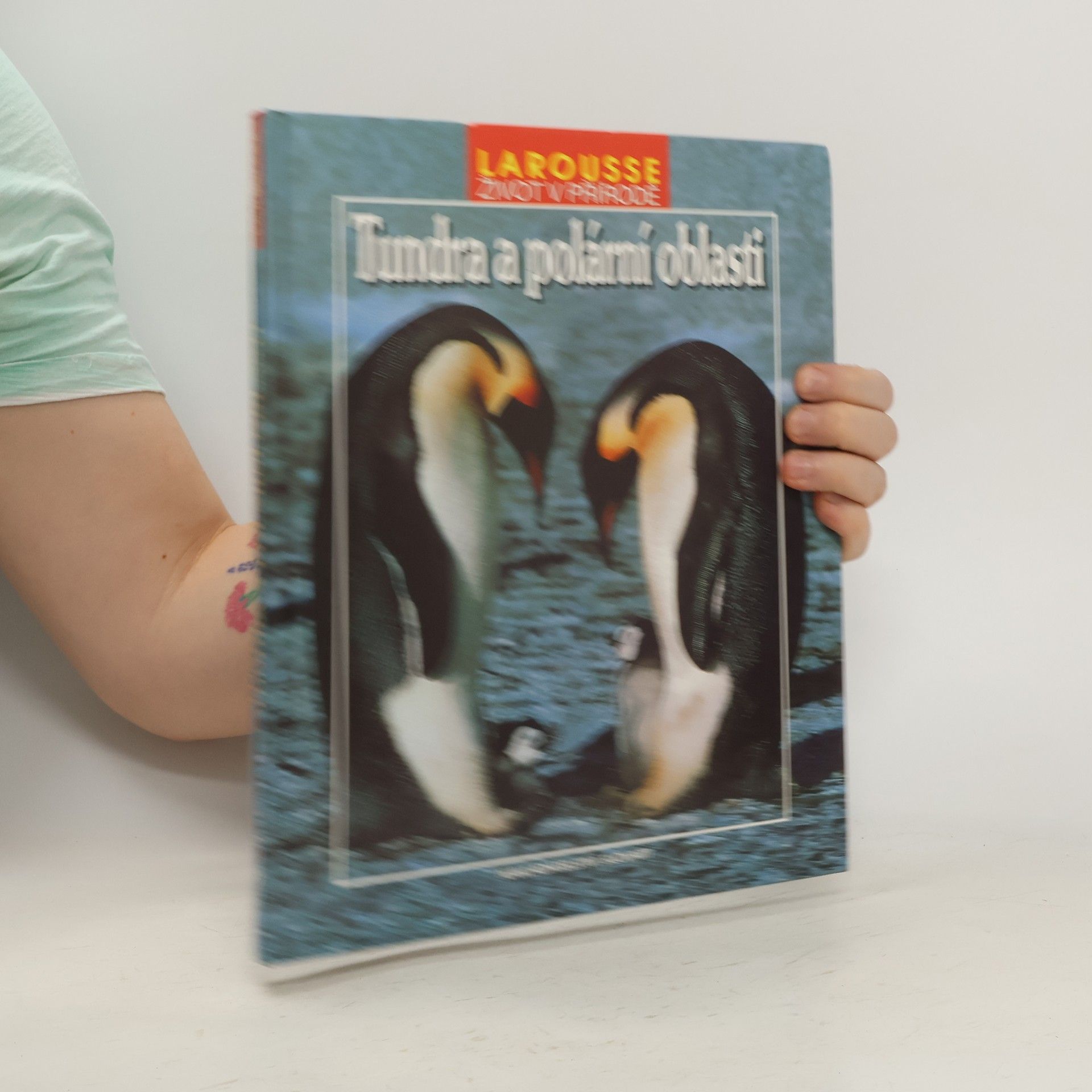 Tundra a polární oblasti