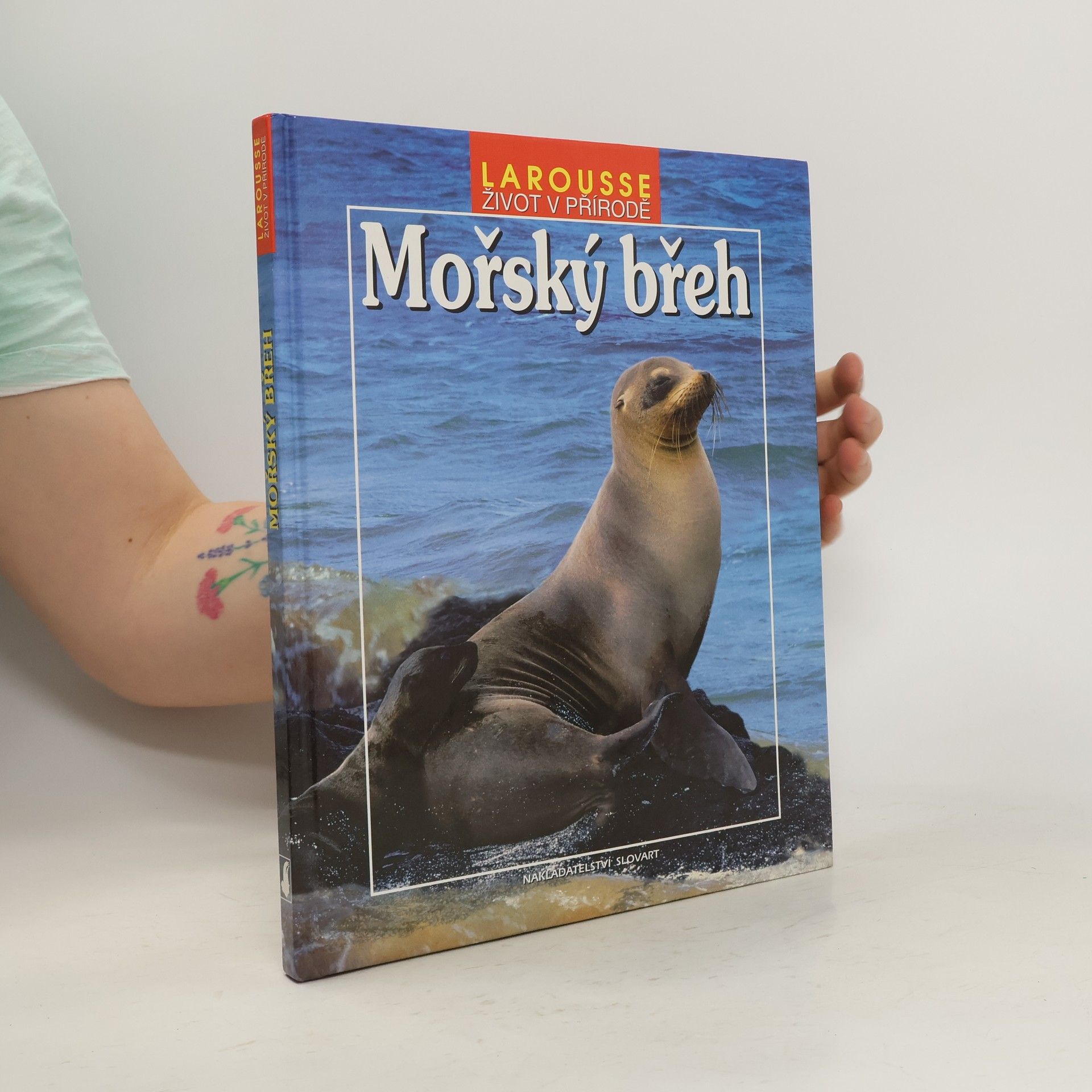 Autorenkollektiv Mořský břeh