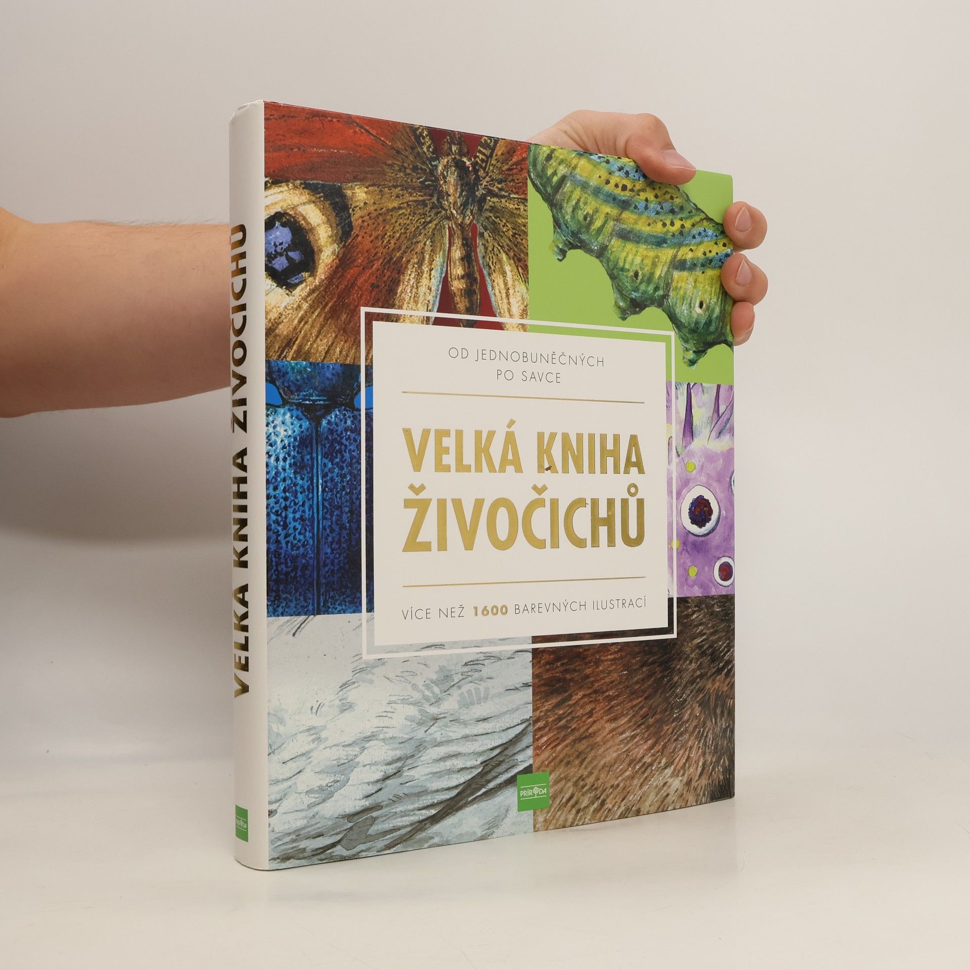 Kolektív autorov Velká kniha živočichů