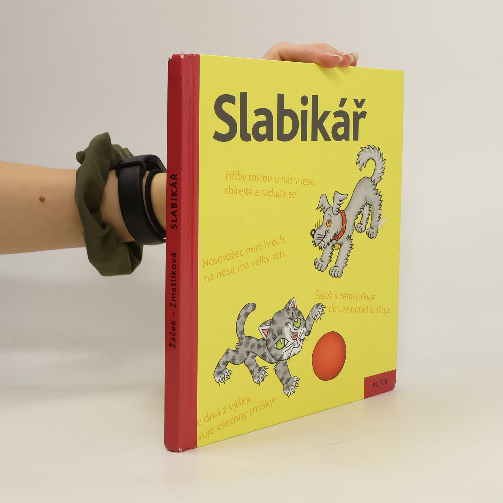 Slabikář : učebnice pro vzdělávací obor Český jazyk a literatura