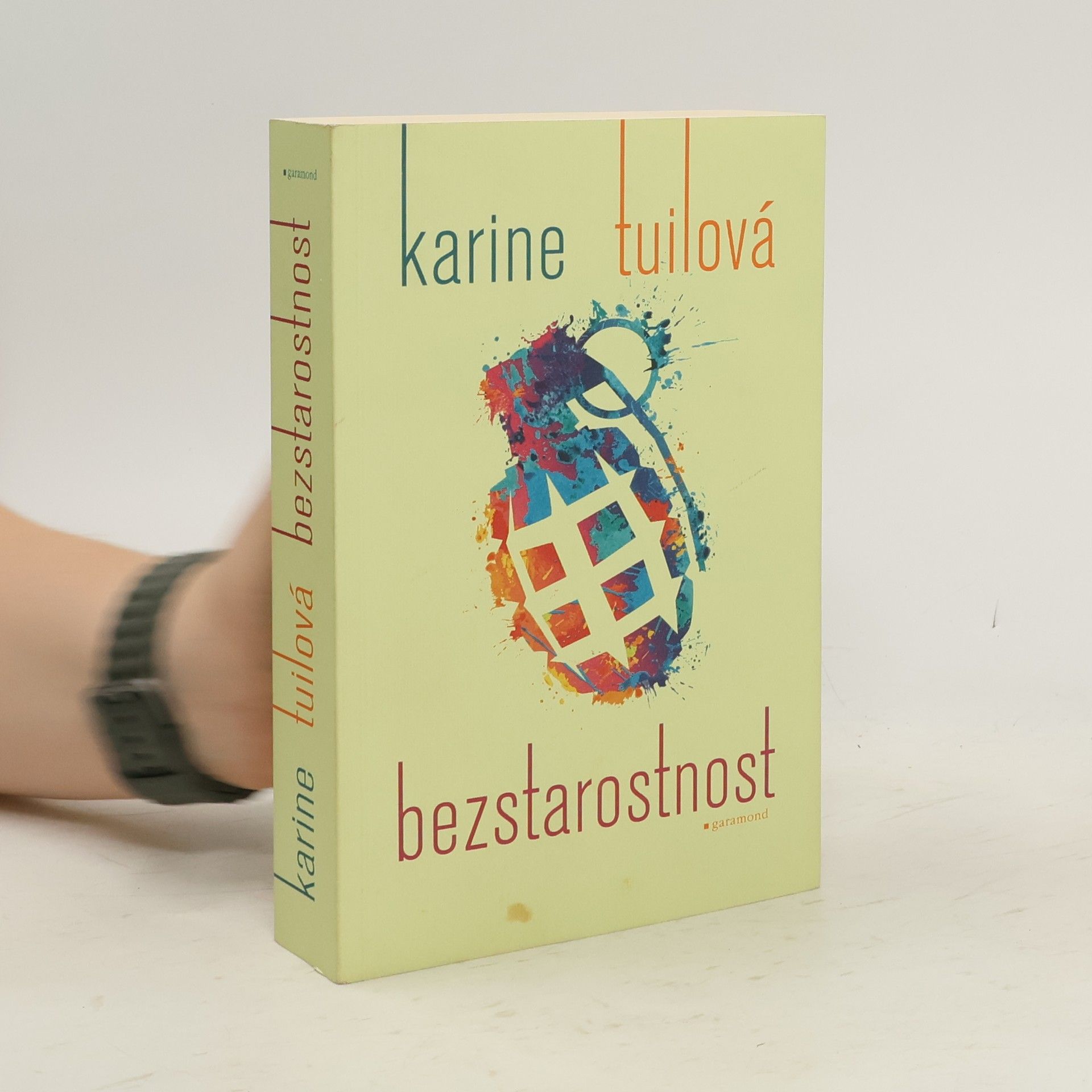 Karine Tuil Bezstarostnost