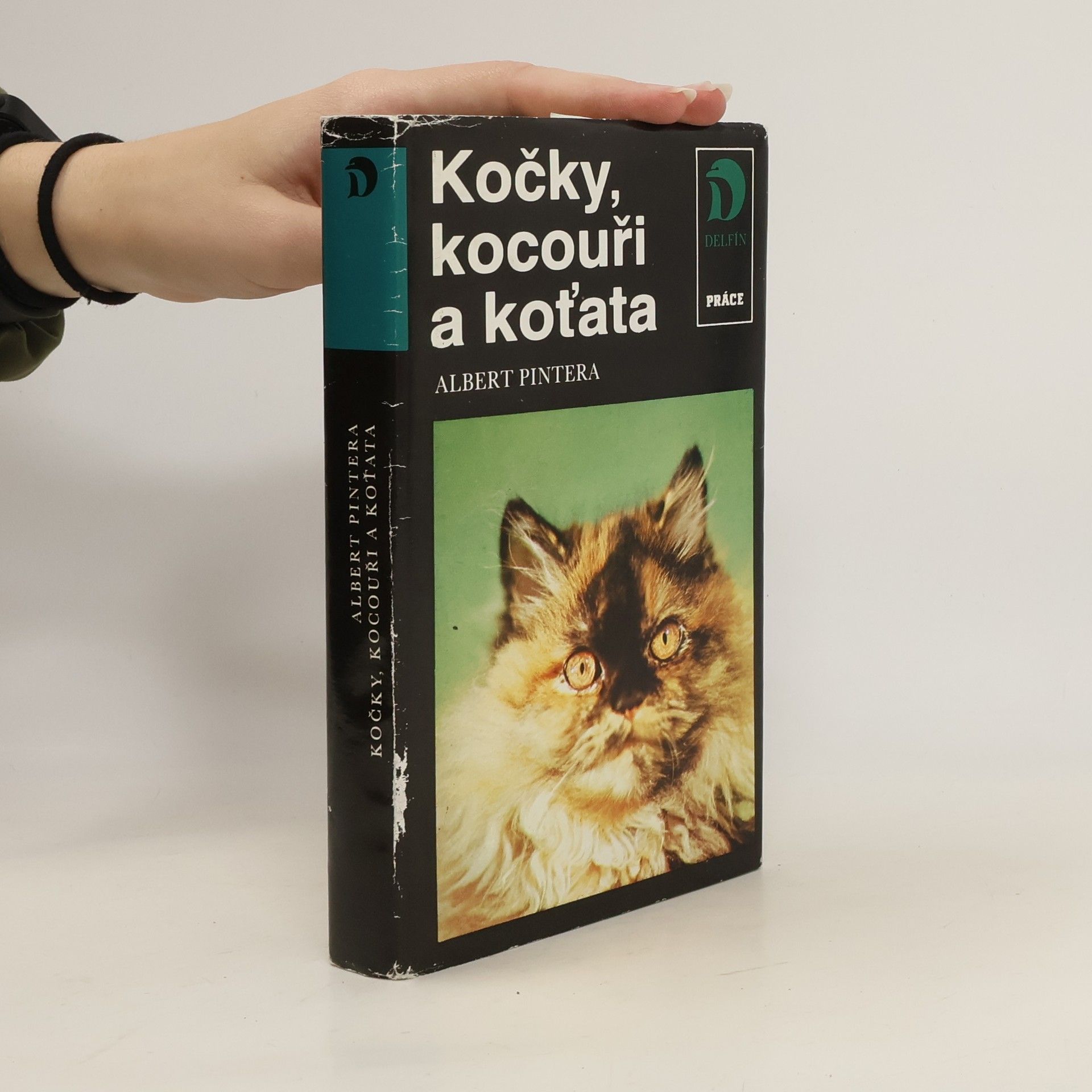 Albert Pintera Kočky, kocouři a koťata