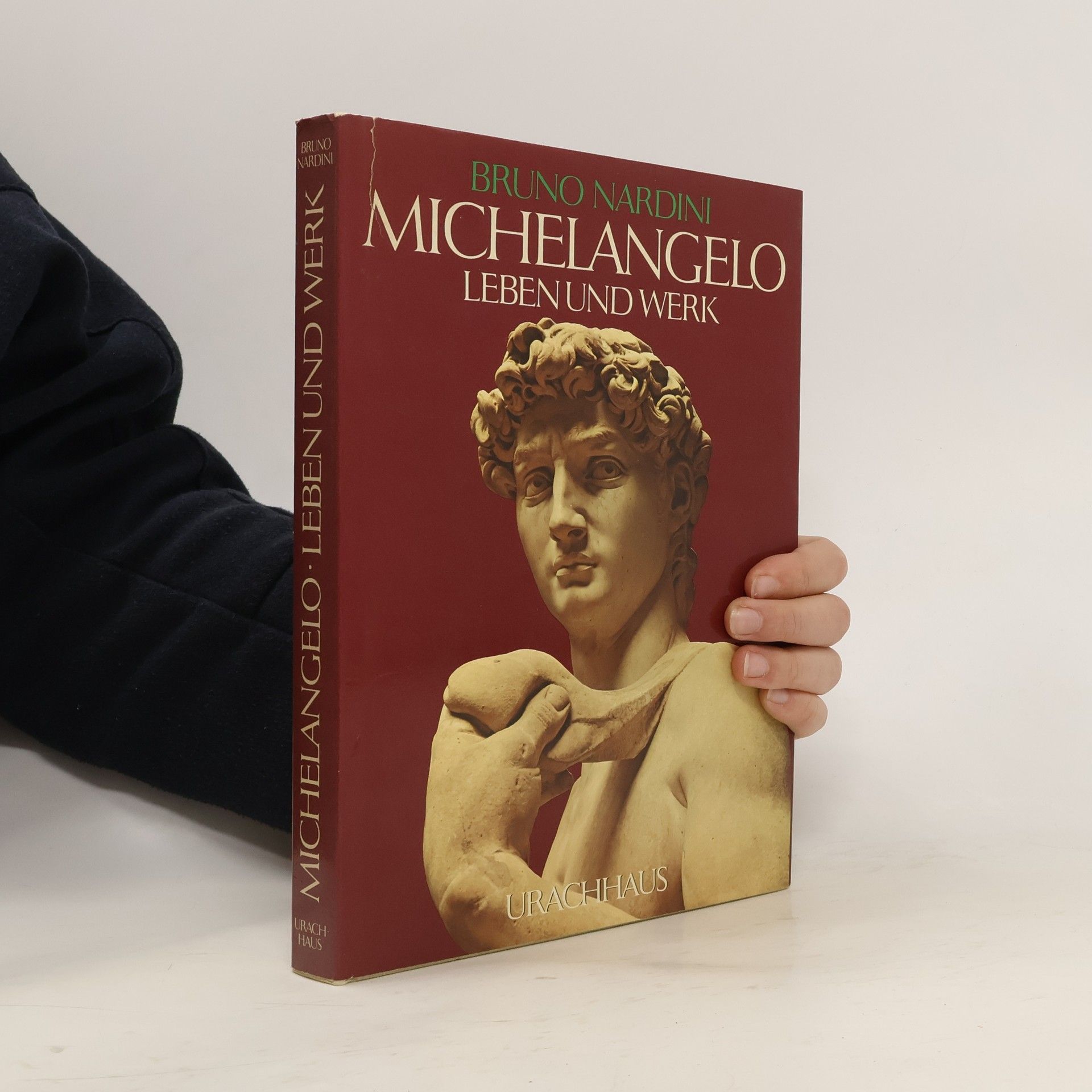 Michelangelo