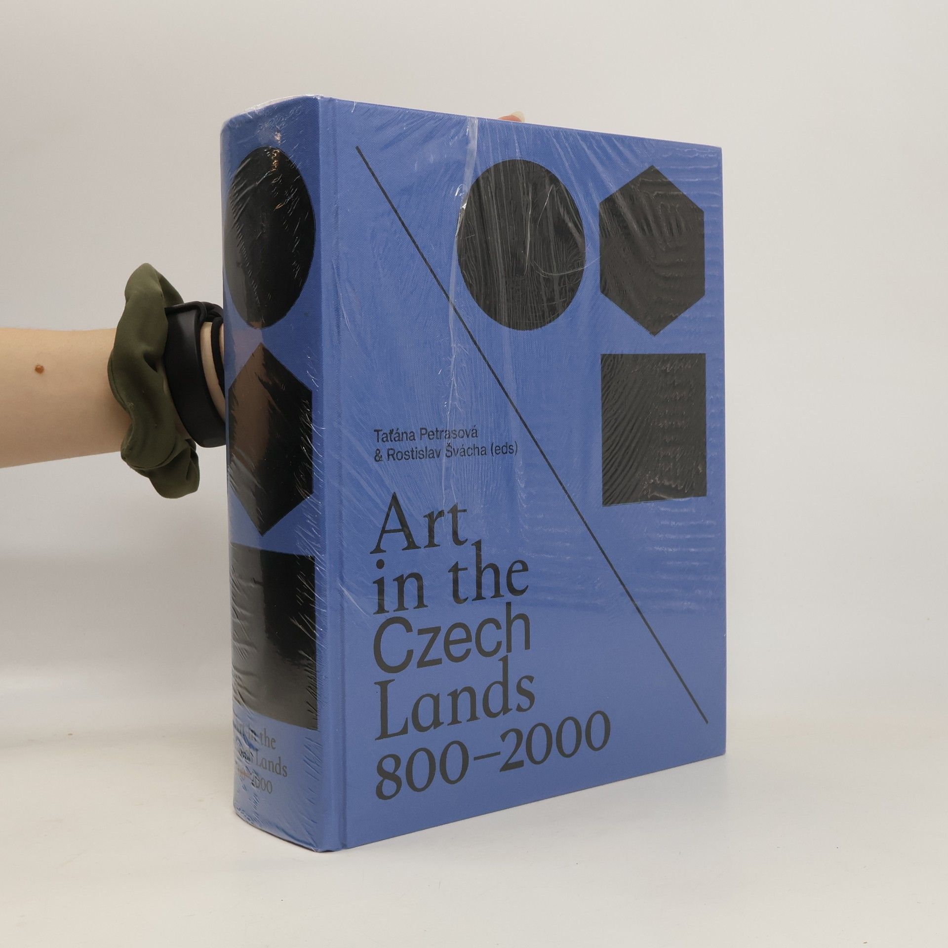 Autorenkollektiv Art in the Czech Lands 800-2000