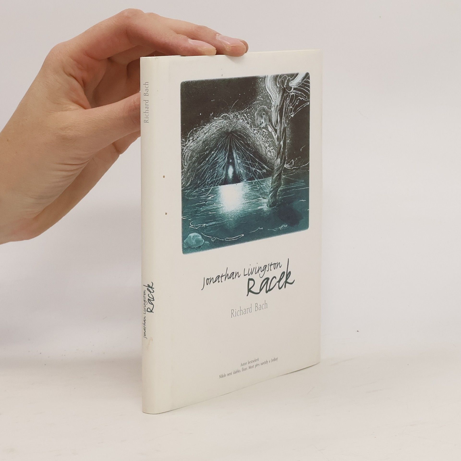 Richard David Bach Jonathan Livingston: Racek