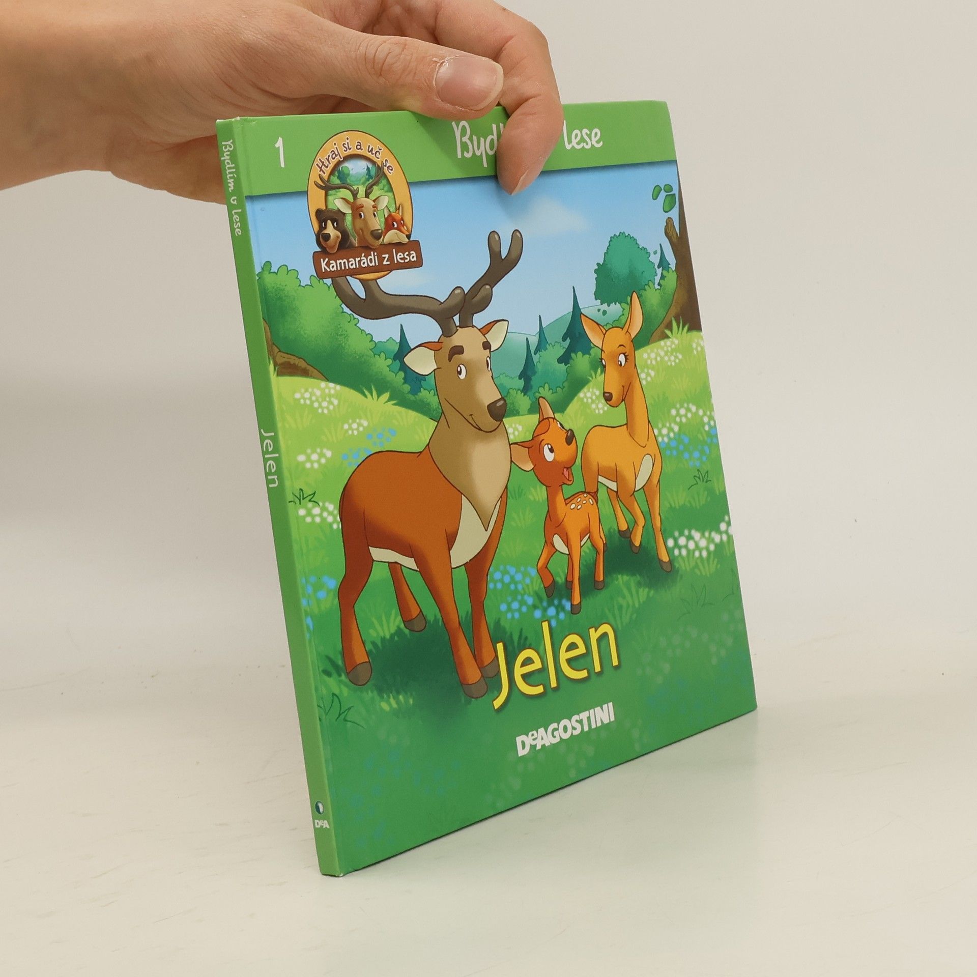 Autorenkollektiv Bydlím v lese - jelen