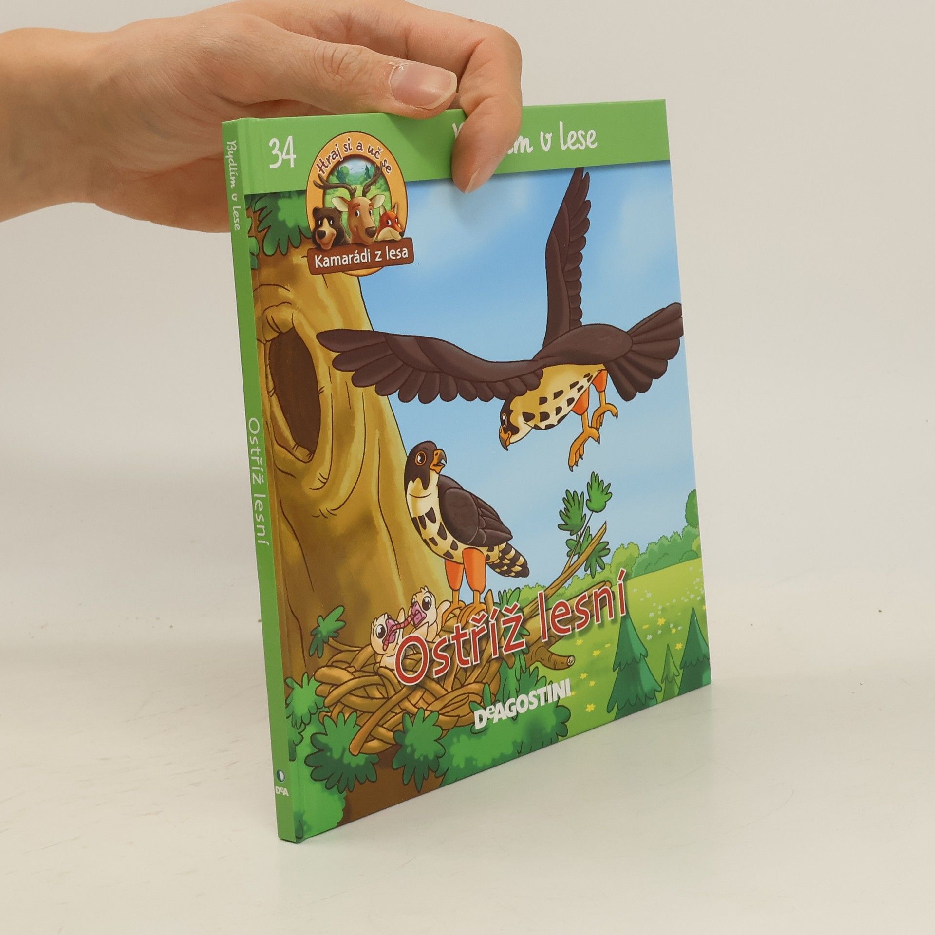 Collectif d'auteurs Bydlím v lese. Ostříž lesní. 34